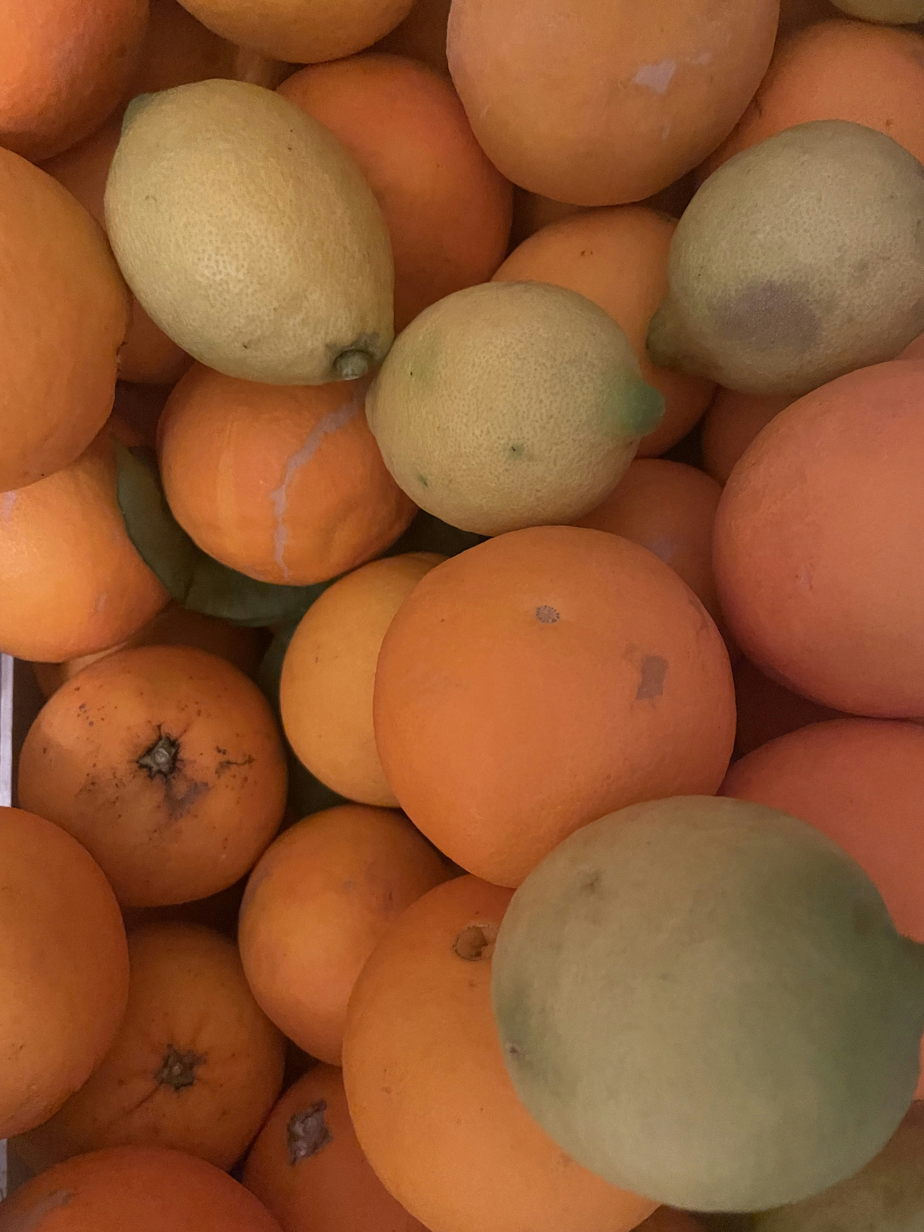 How COVID-19 Affected MS Patients with Spasticity