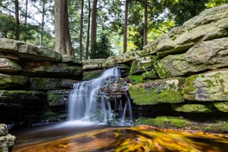 A serene waterfall cascading gently over moss-covered rocks surrounded by tall trees.