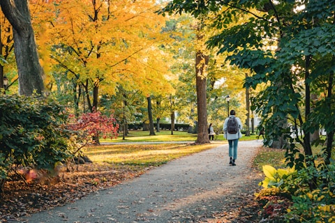 a person walking down a path in a park