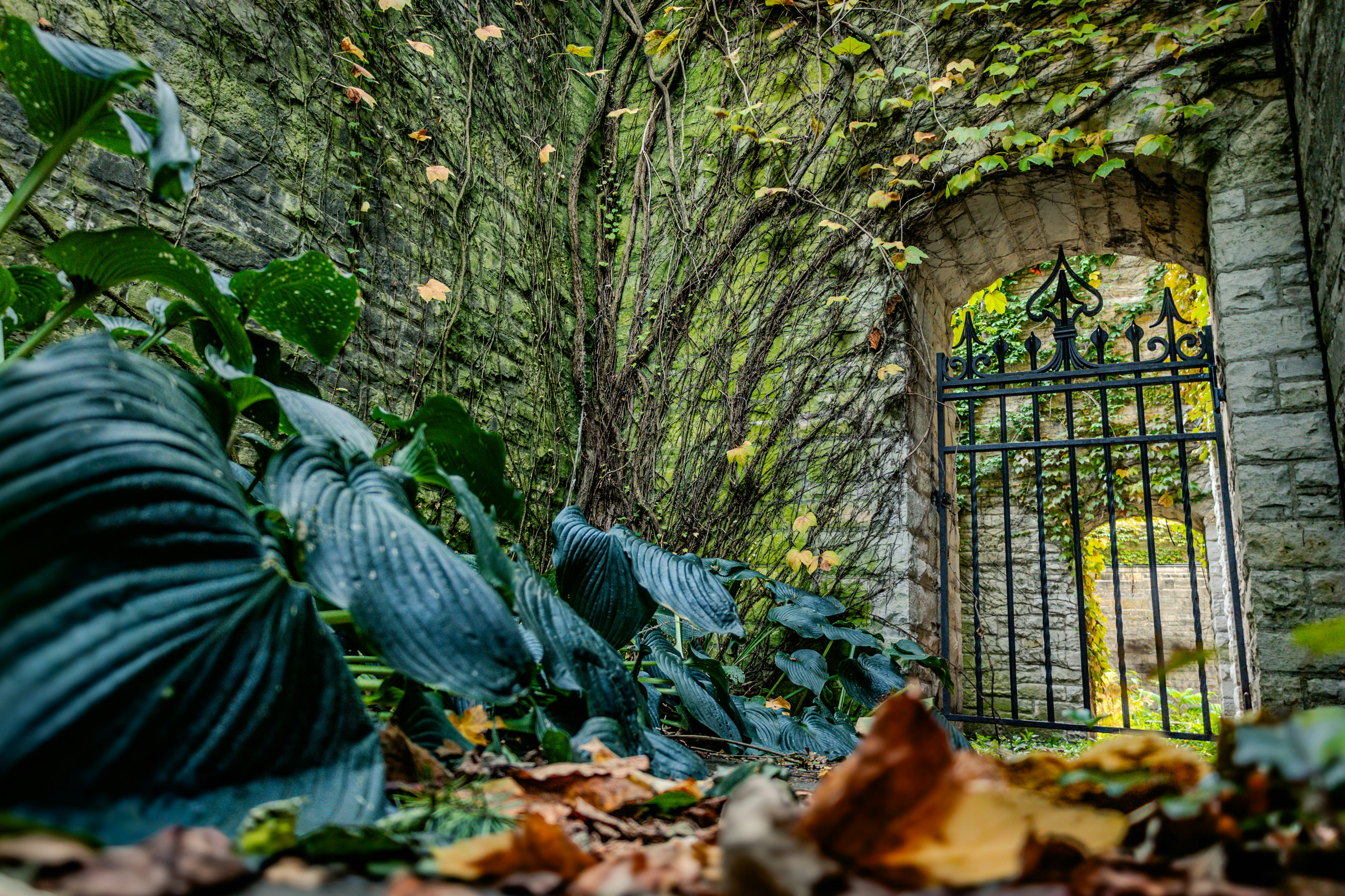 Using External Libraries with pip