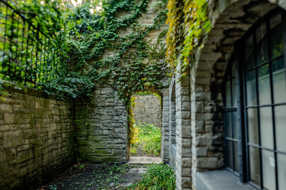 an old brick building with vines growing on it