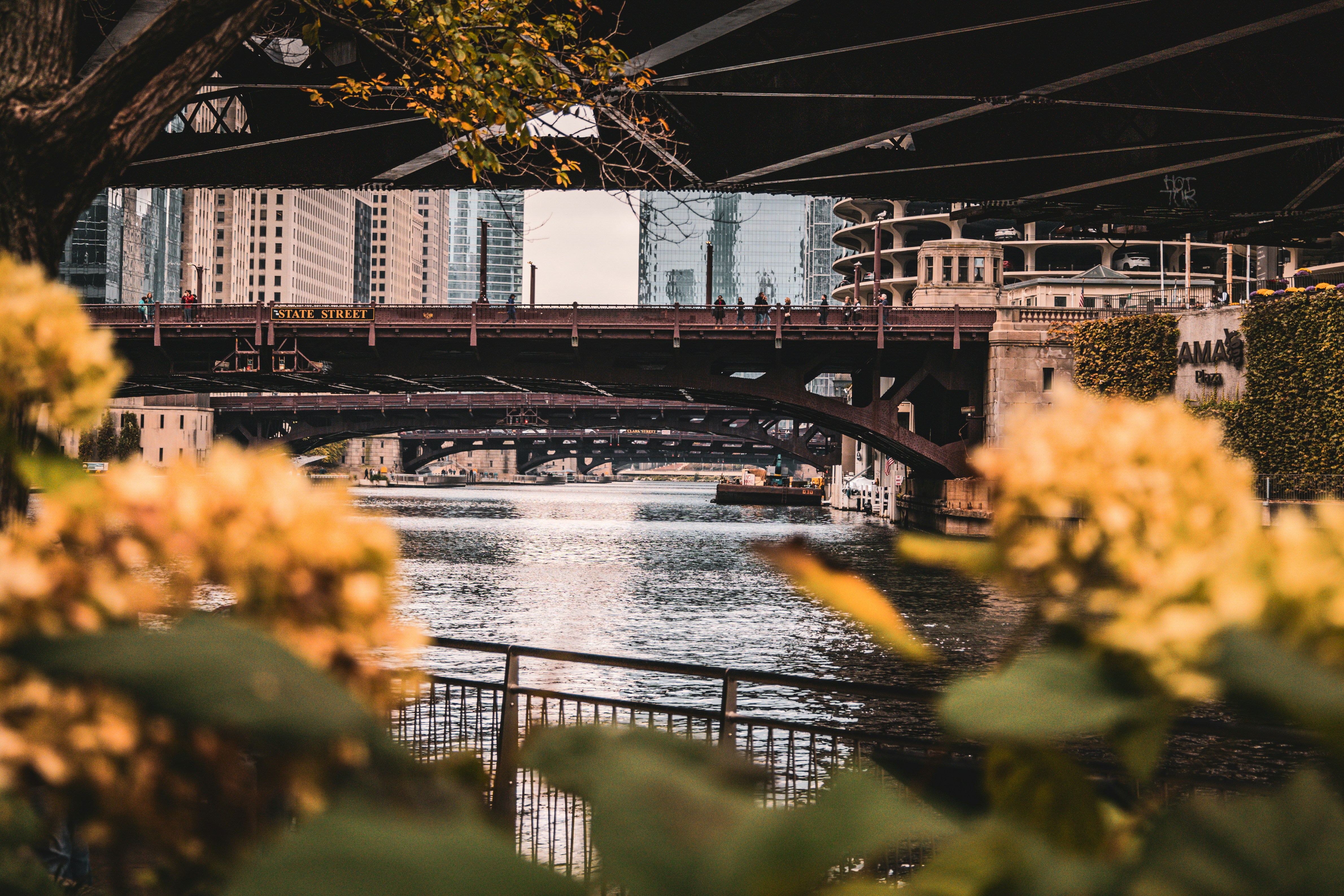 a bridge over a body of water with buildings in the background