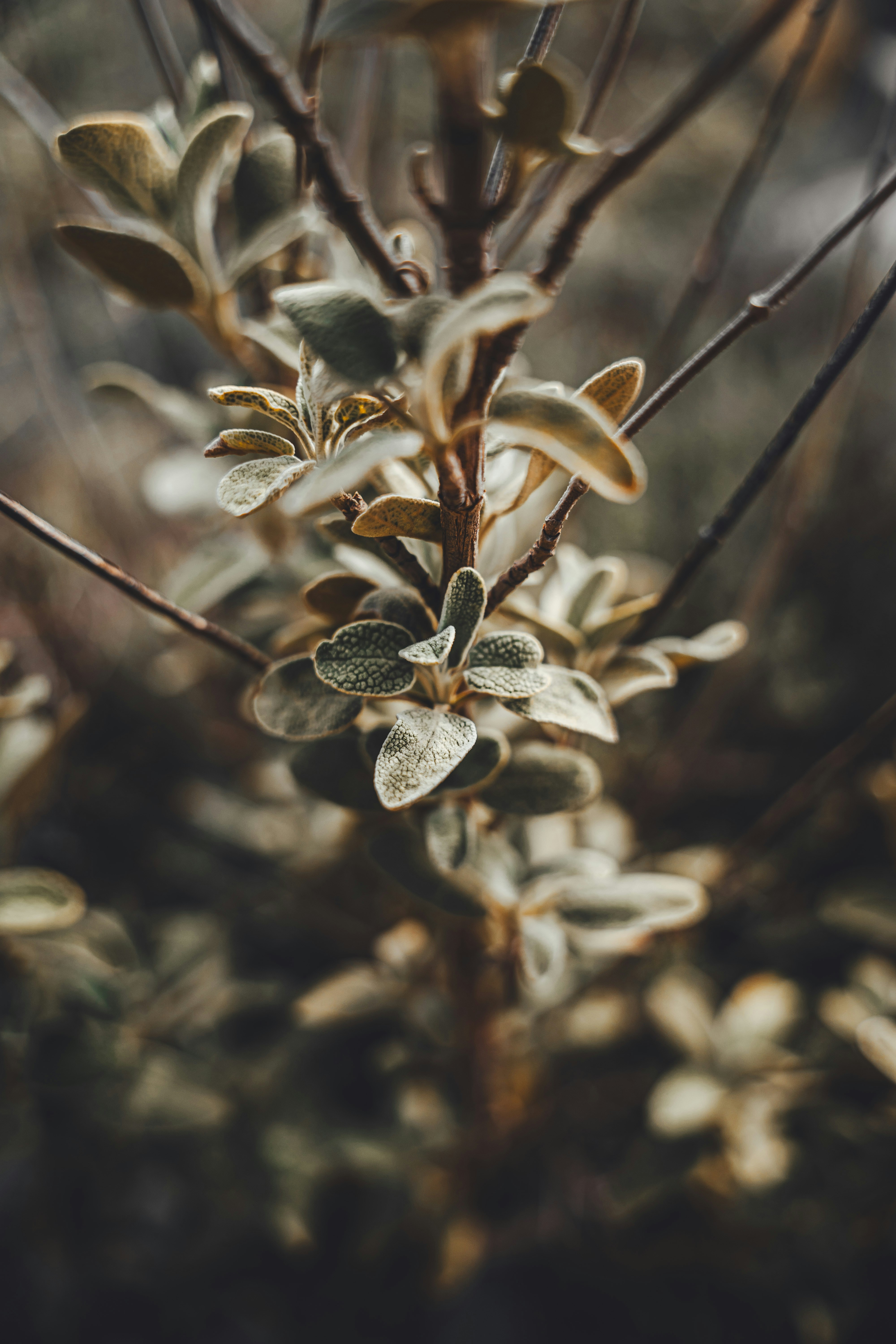 Photo by wojtekpaczes