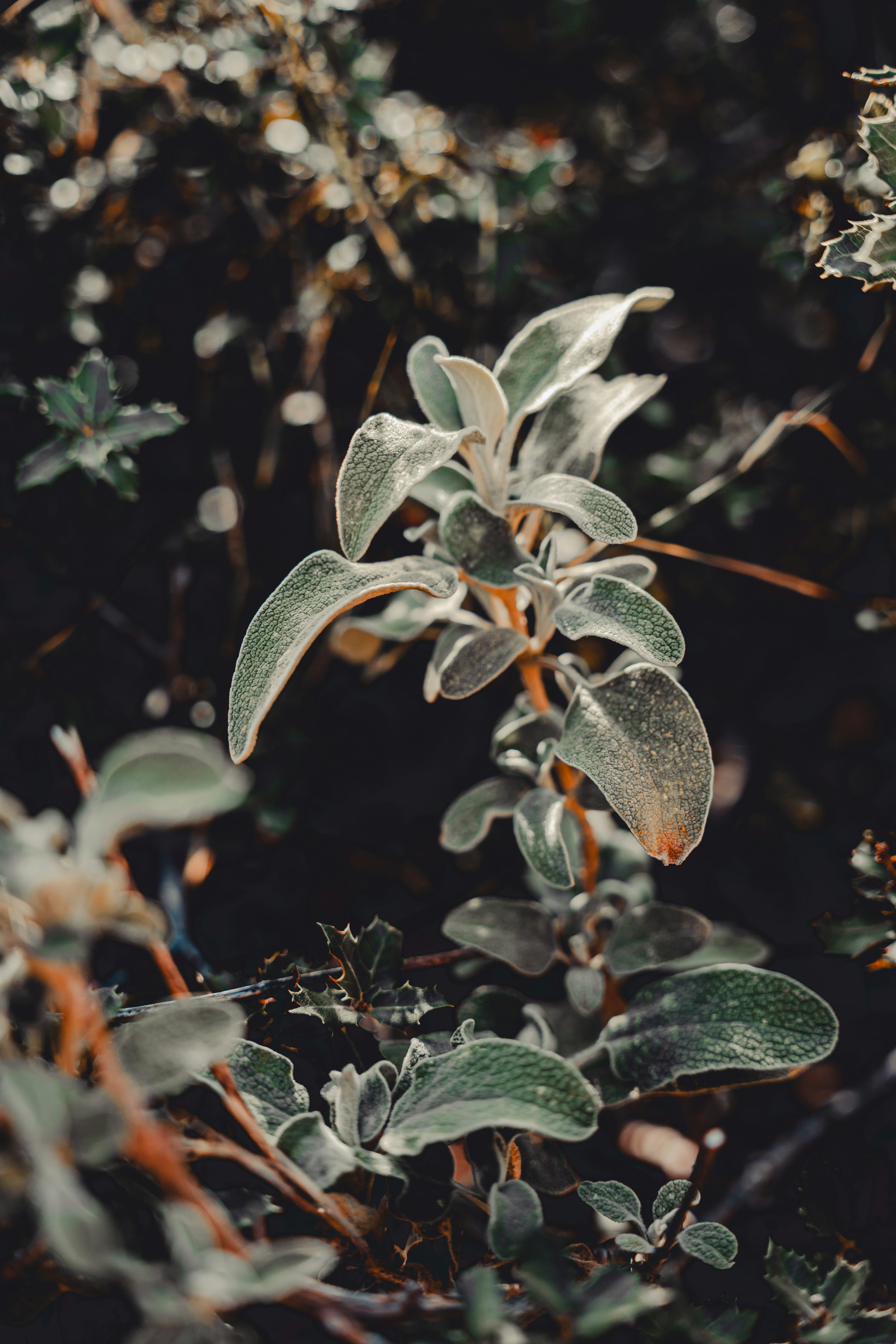 Photo by wojtekpaczes