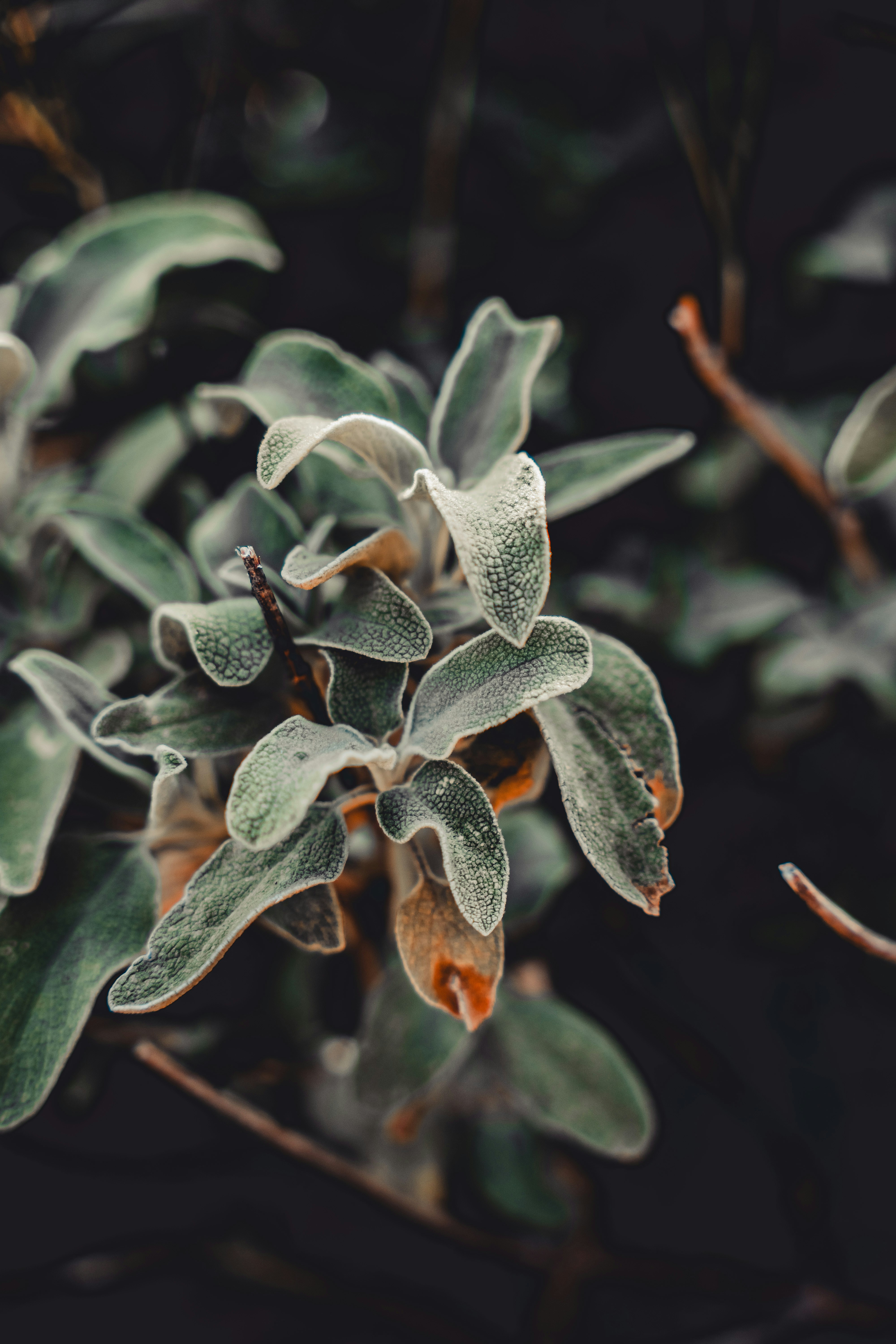 Photo by wojtekpaczes