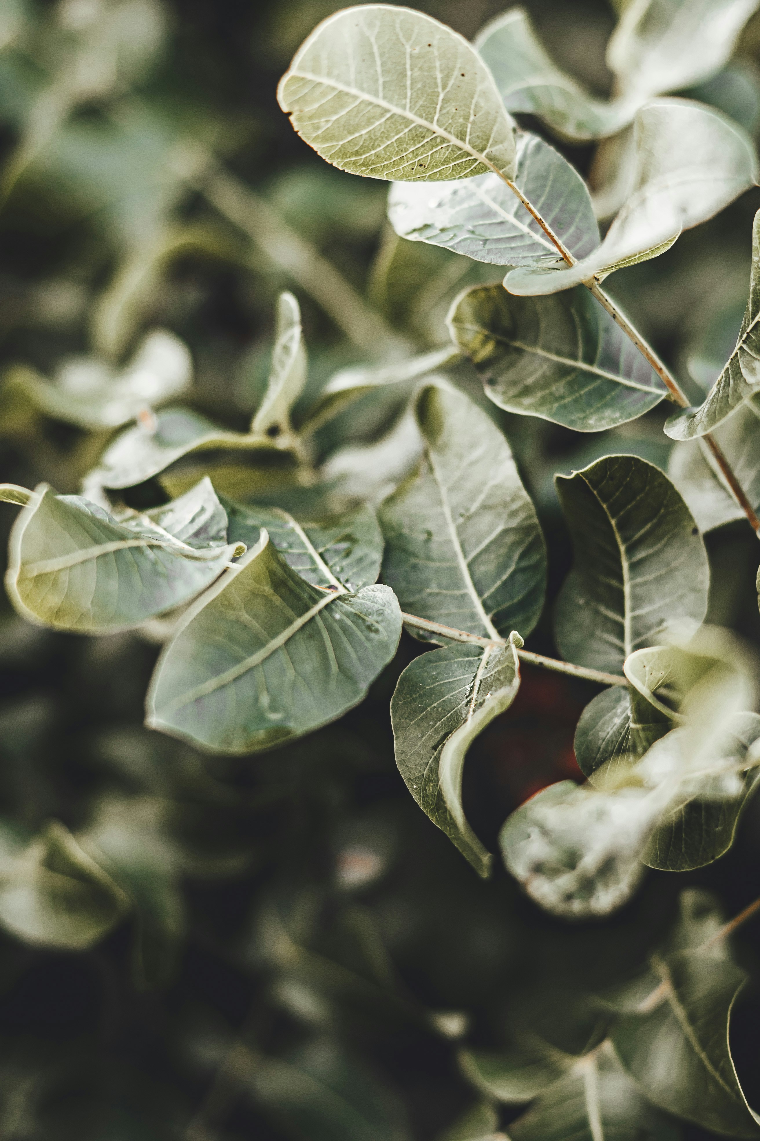 Photo by wojtekpaczes