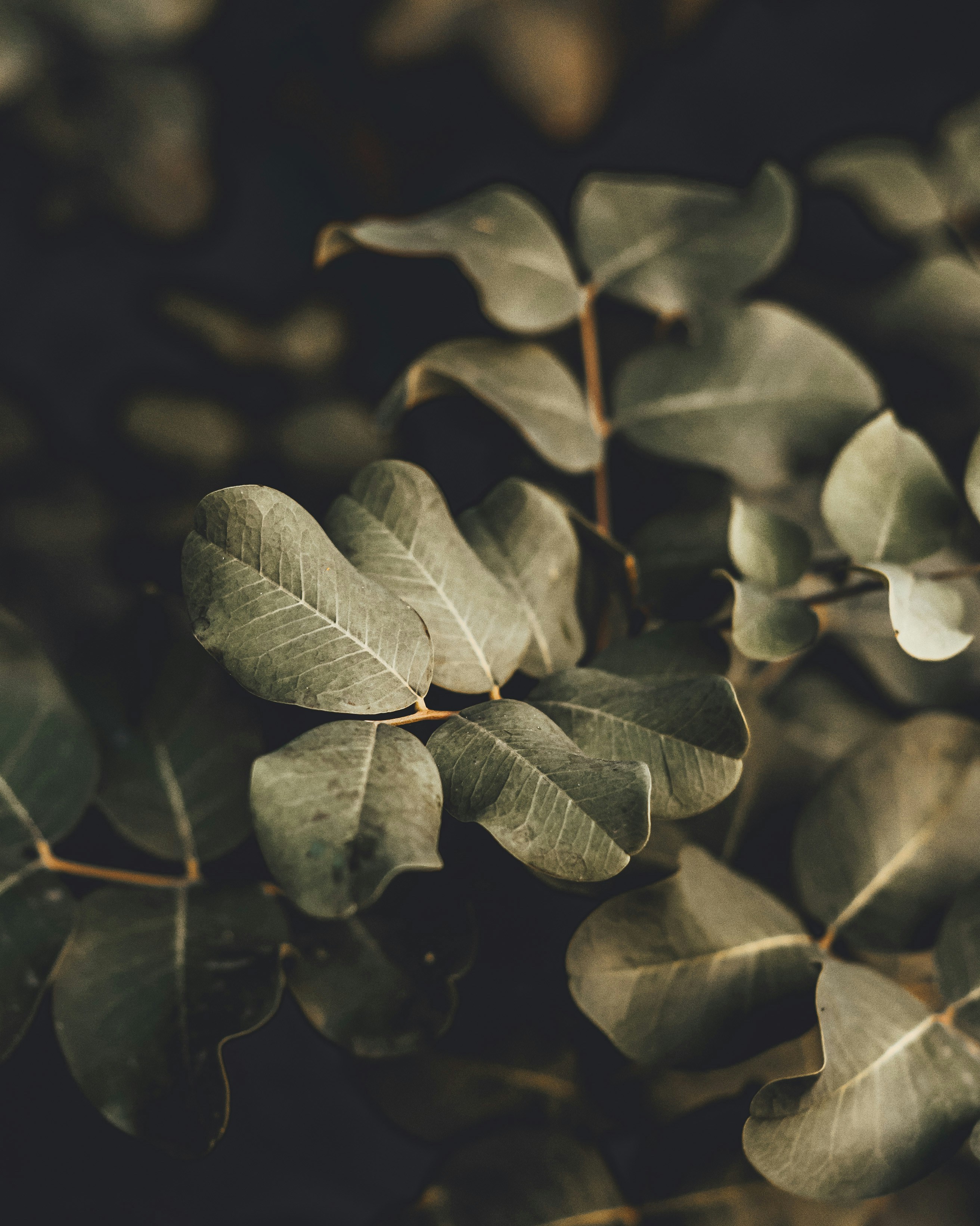 Photo by wojtekpaczes