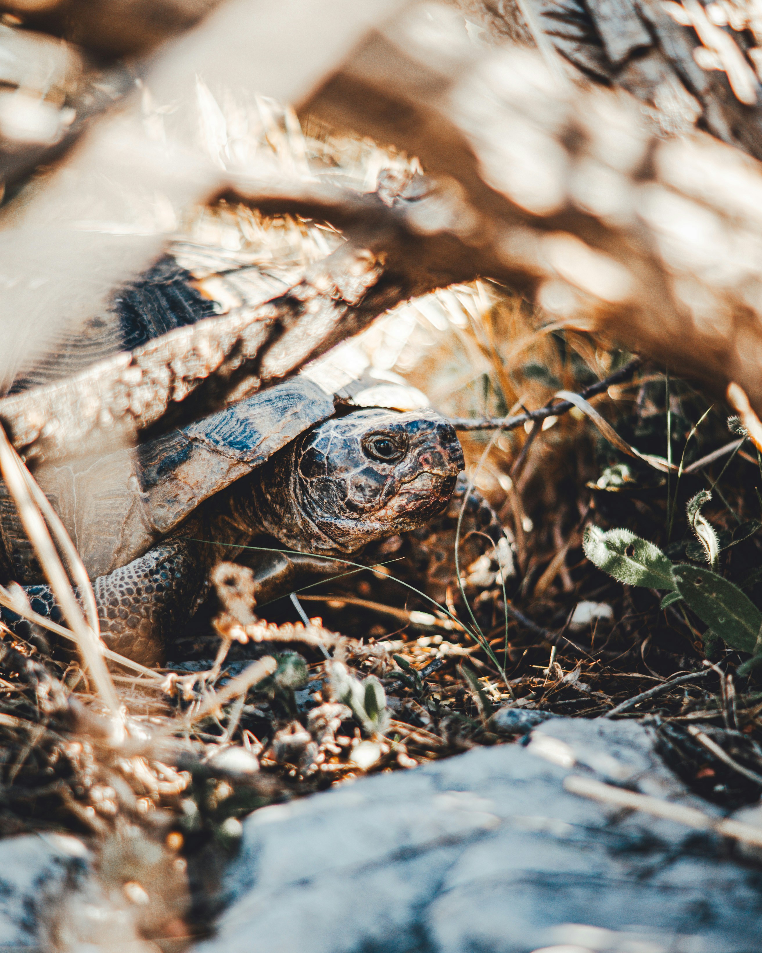 Photo by wojtekpaczes