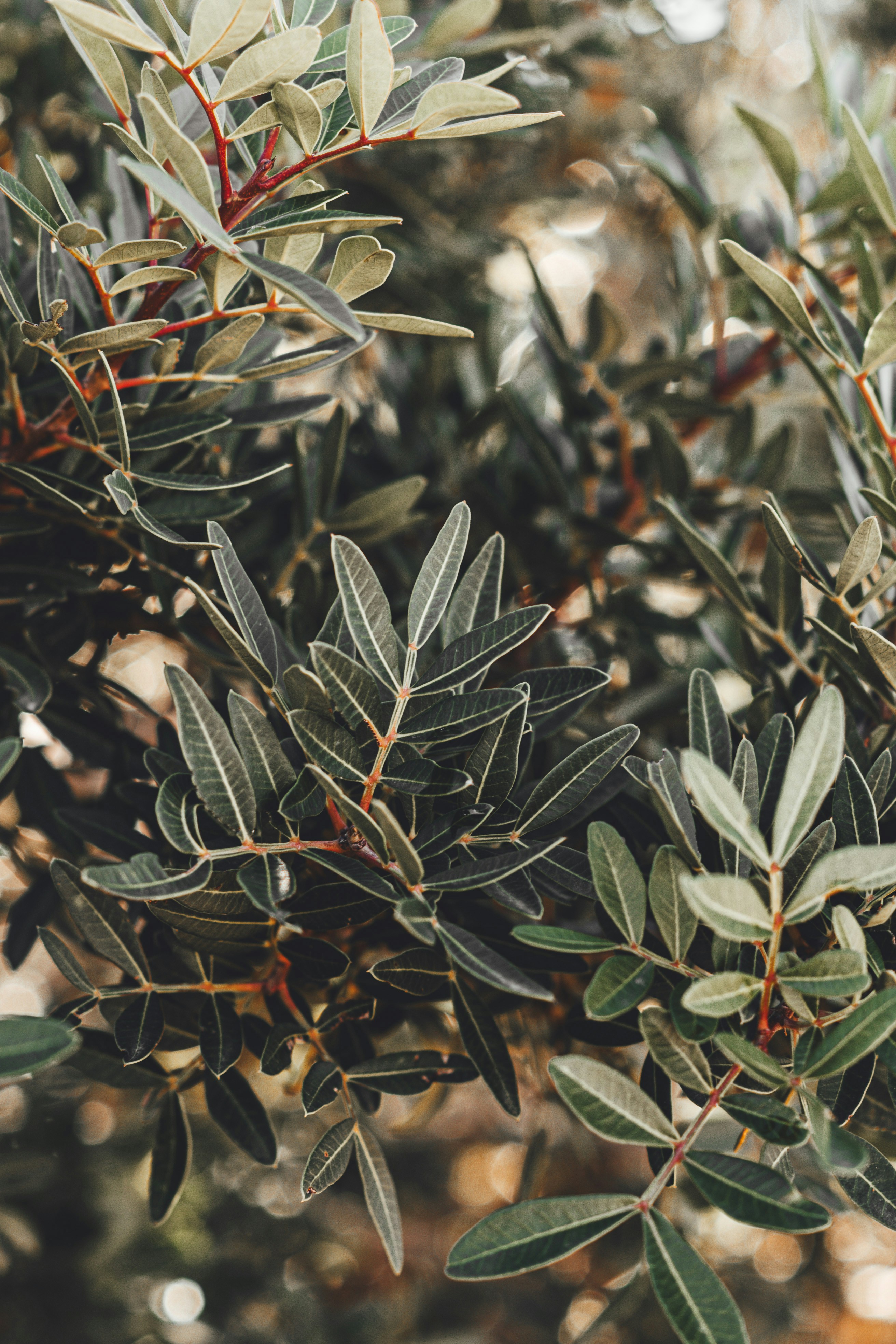 Photo by wojtekpaczes