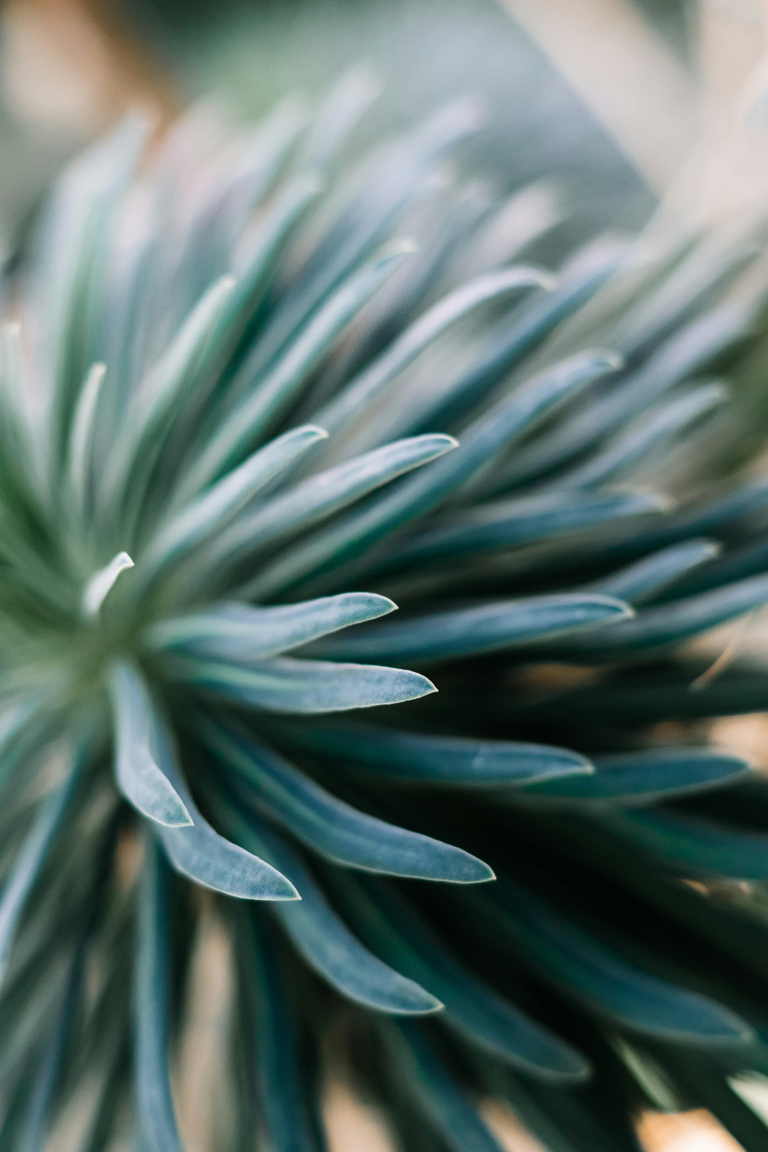 Photo by wojtekpaczes