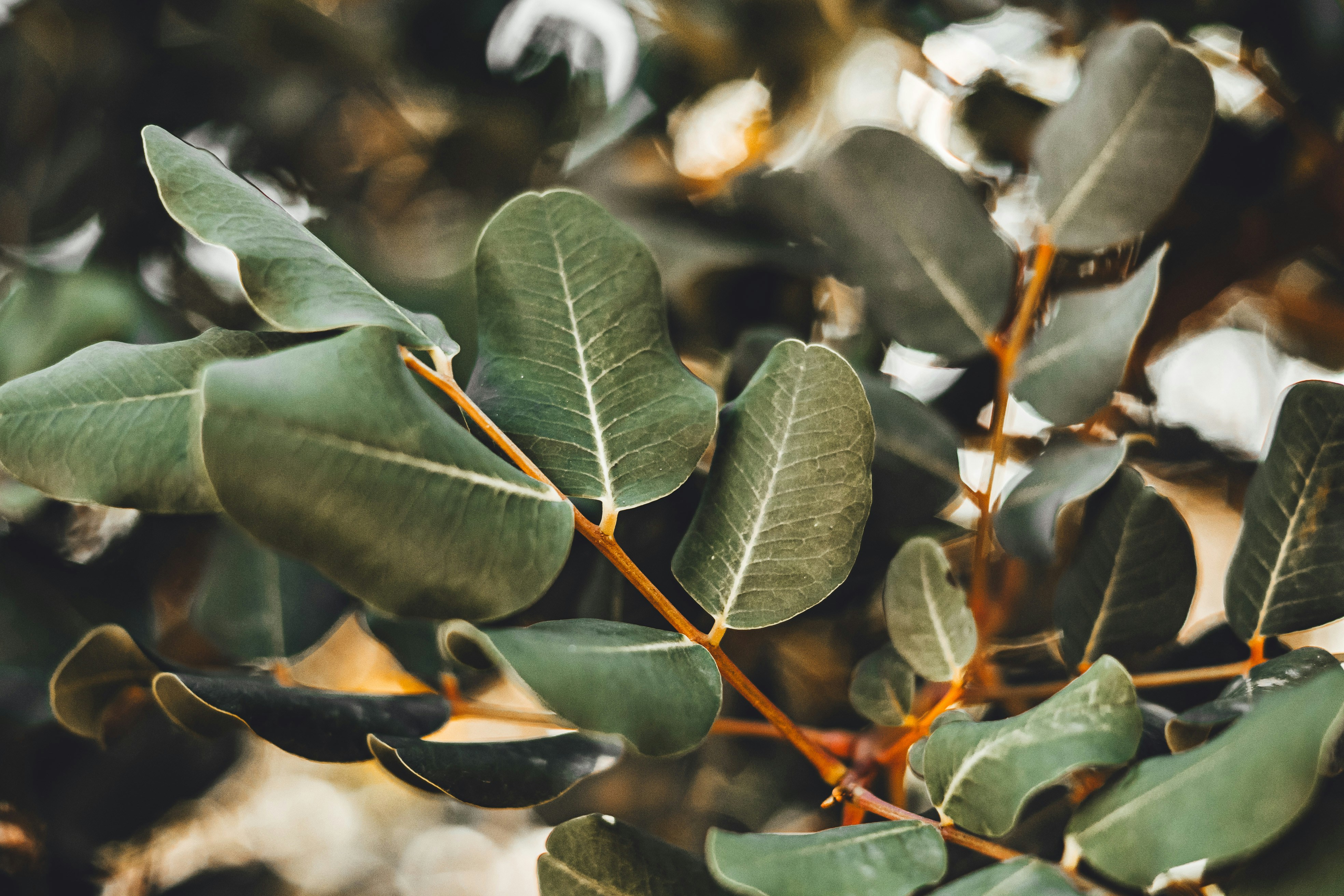 Photo by wojtekpaczes