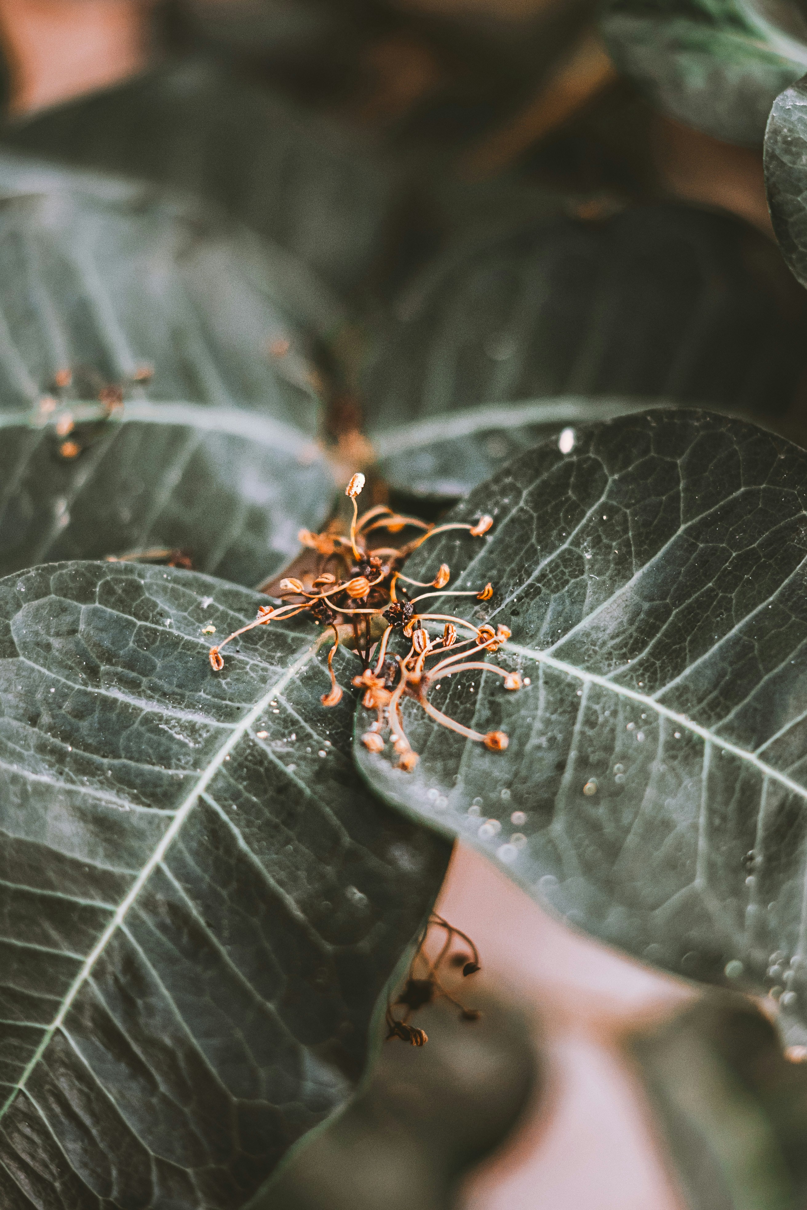 Photo by wojtekpaczes