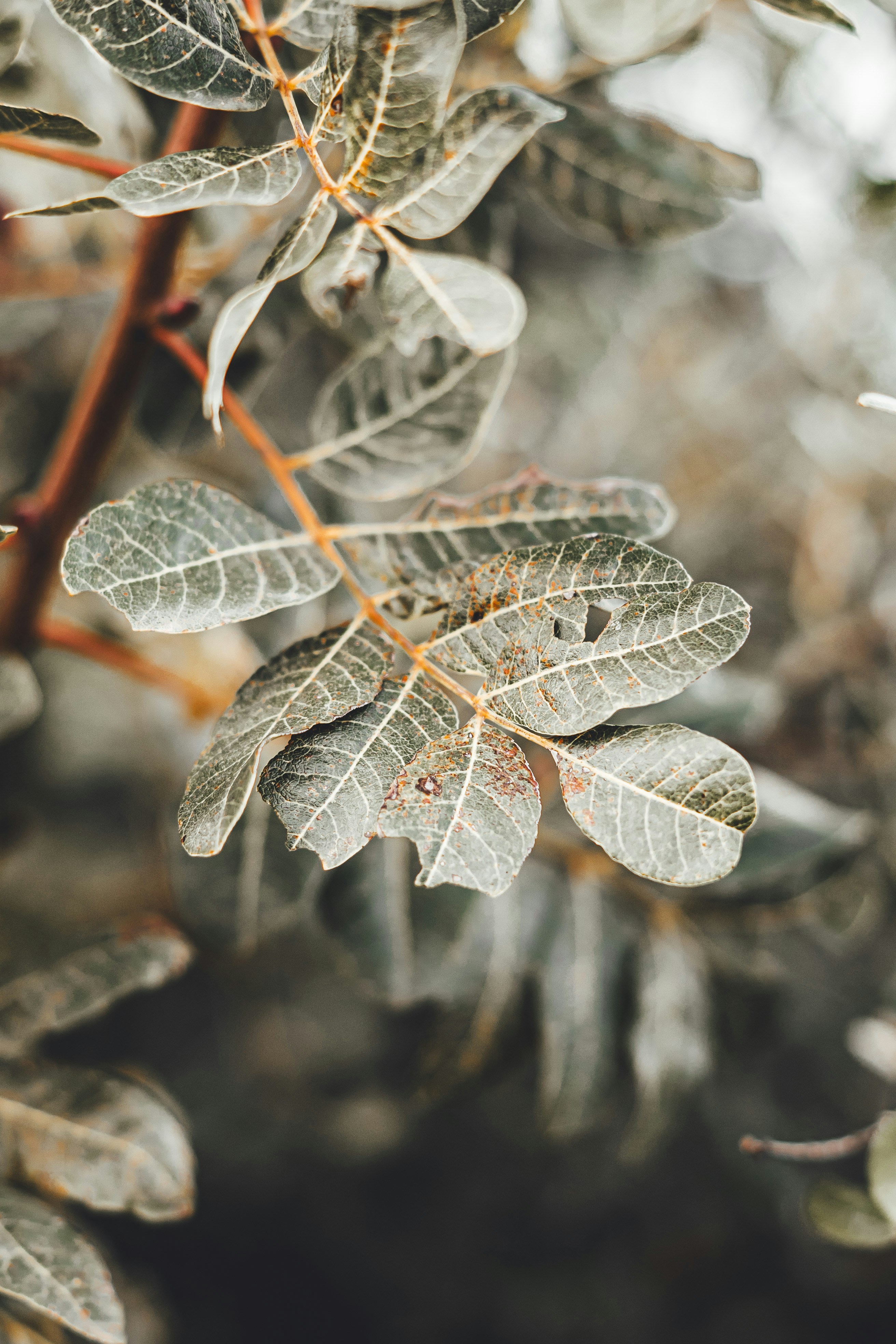 Photo by wojtekpaczes