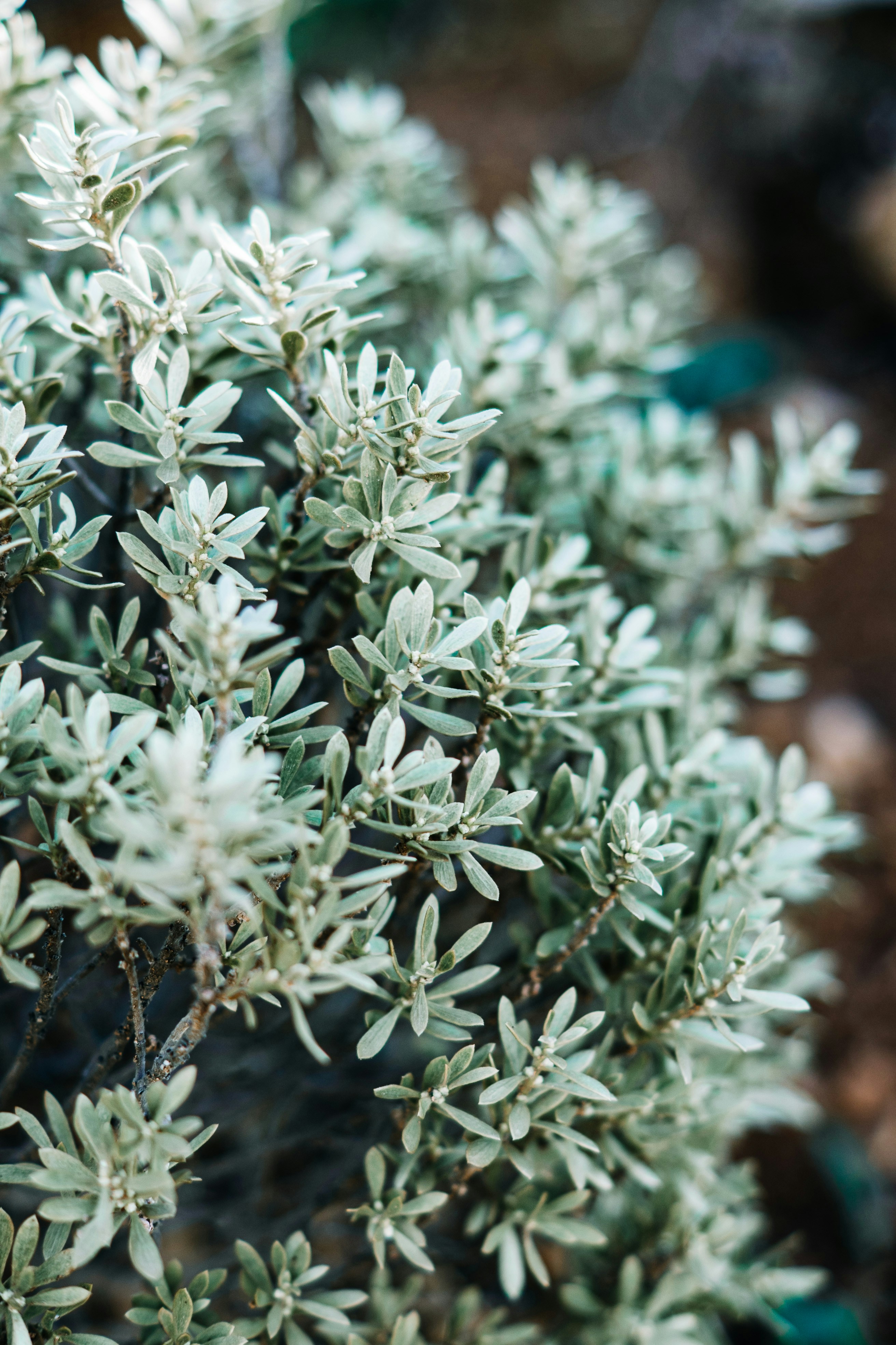 Photo by wojtekpaczes