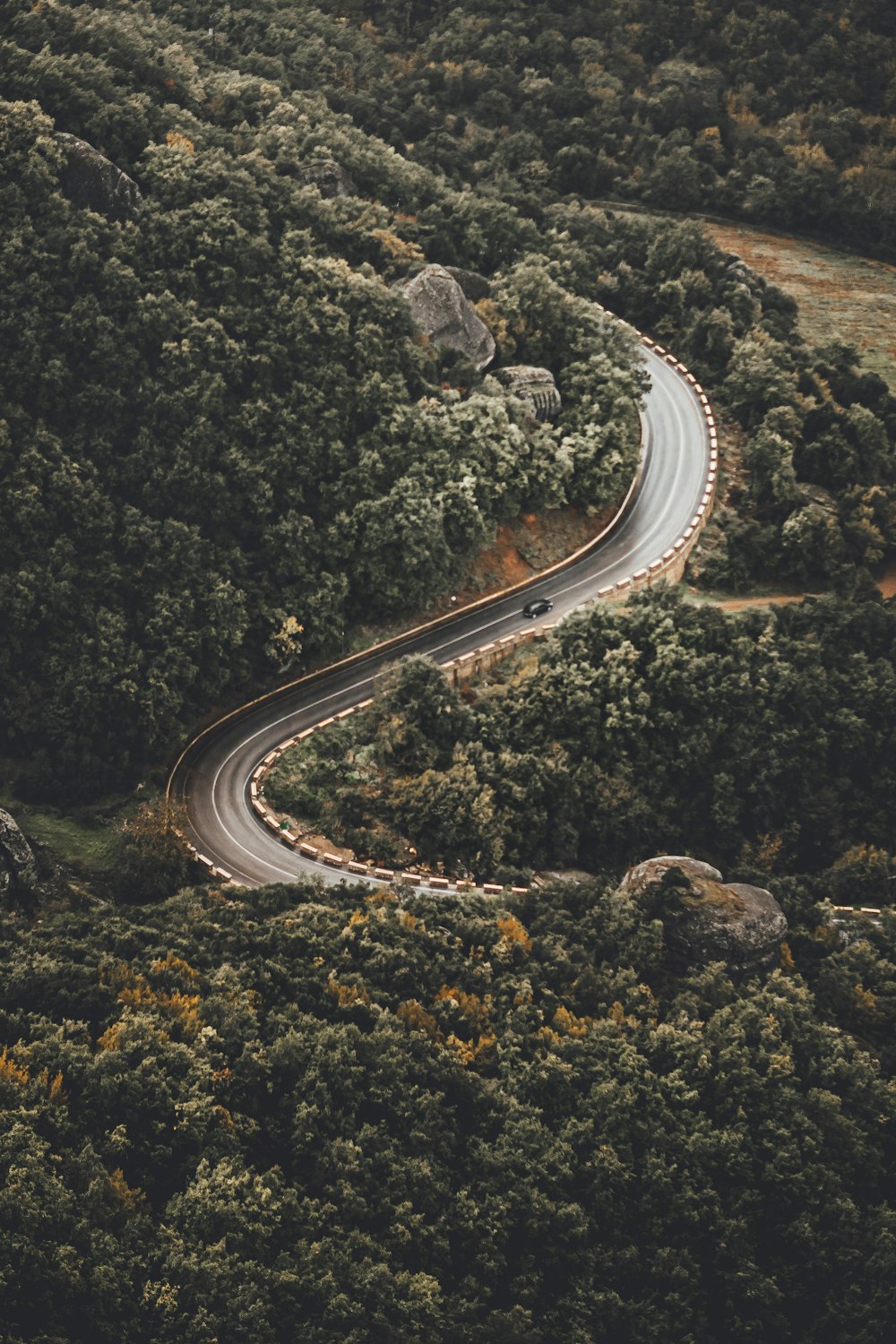 a winding road in the middle of a forest