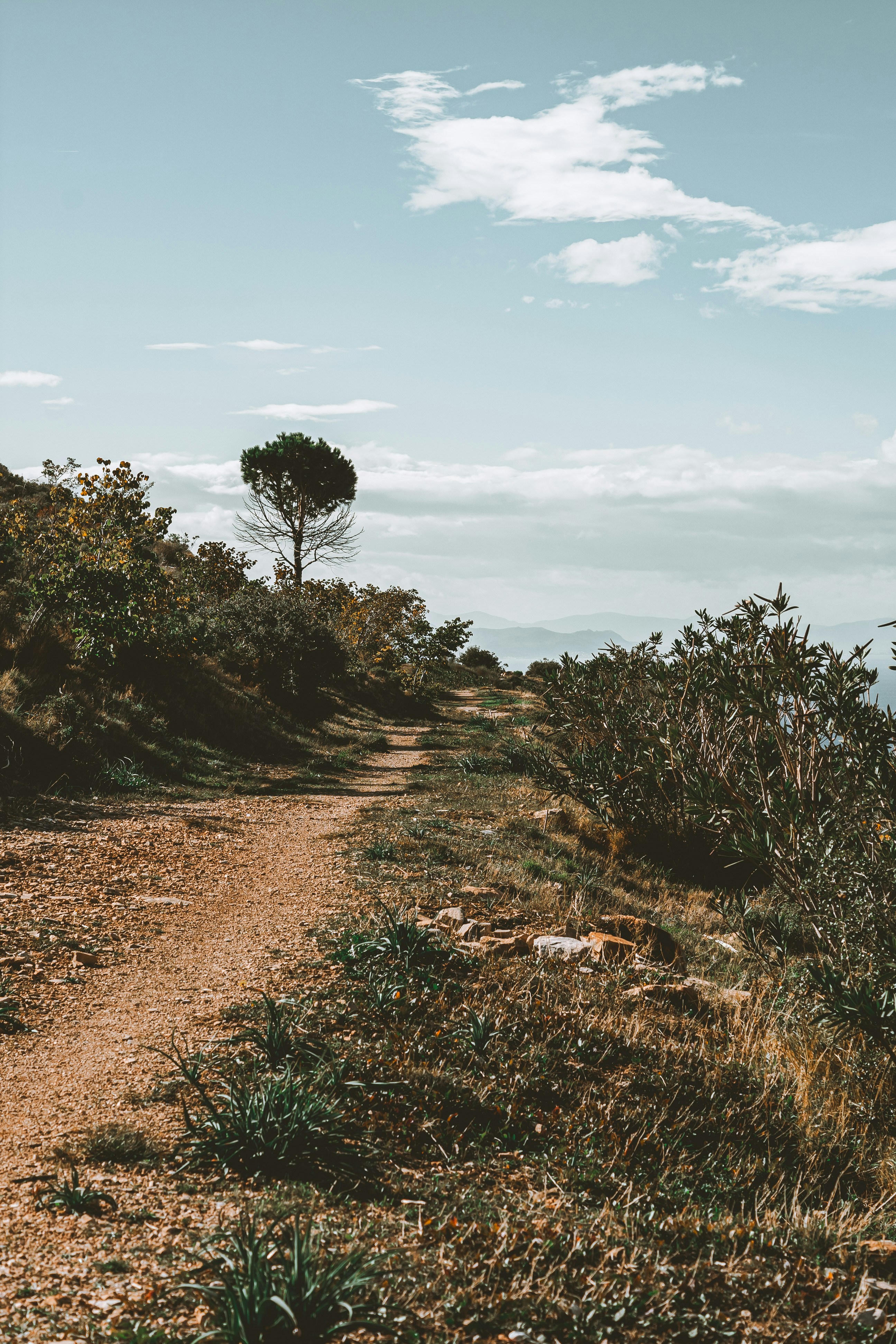 Photo by wojtekpaczes