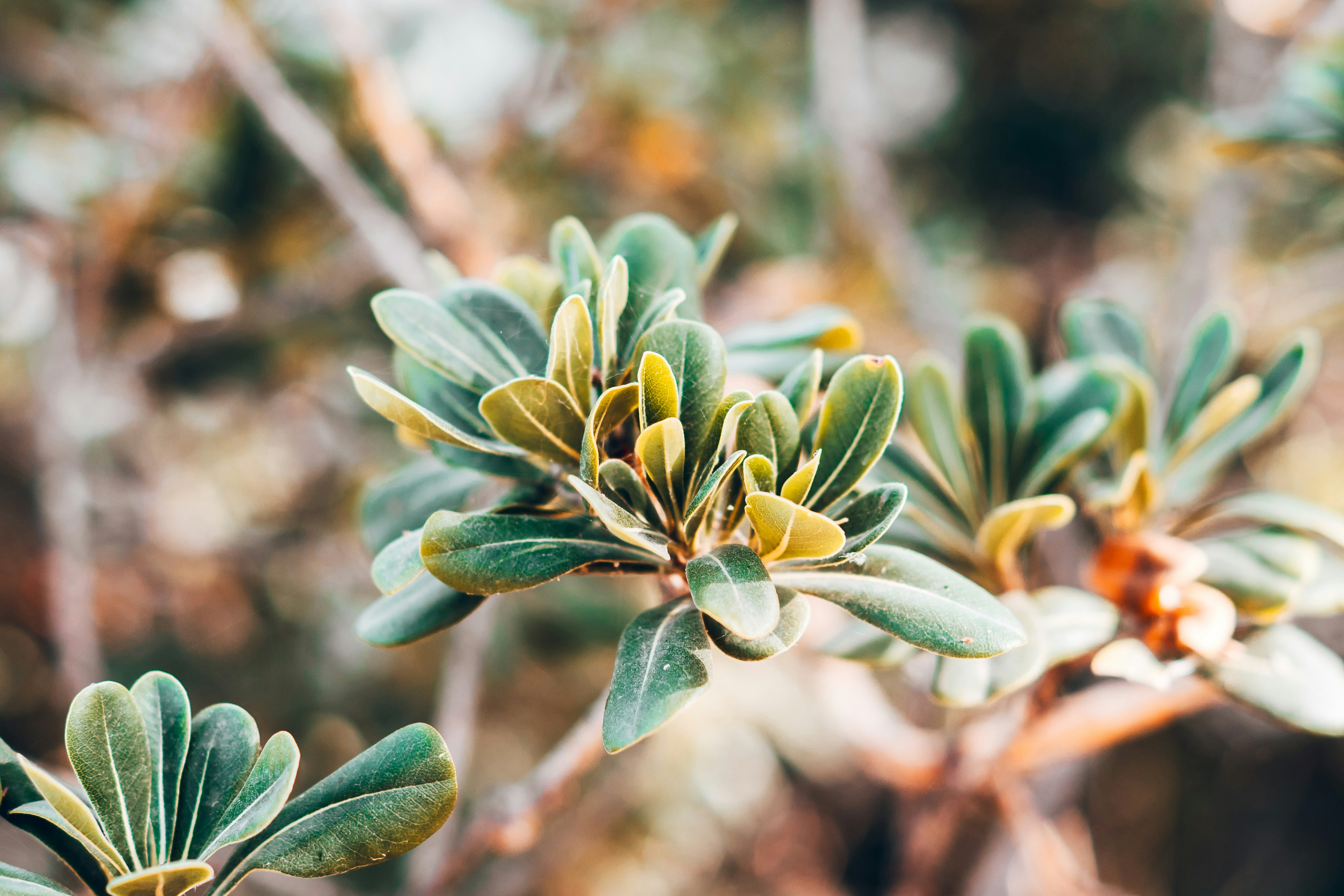 Photo by wojtekpaczes