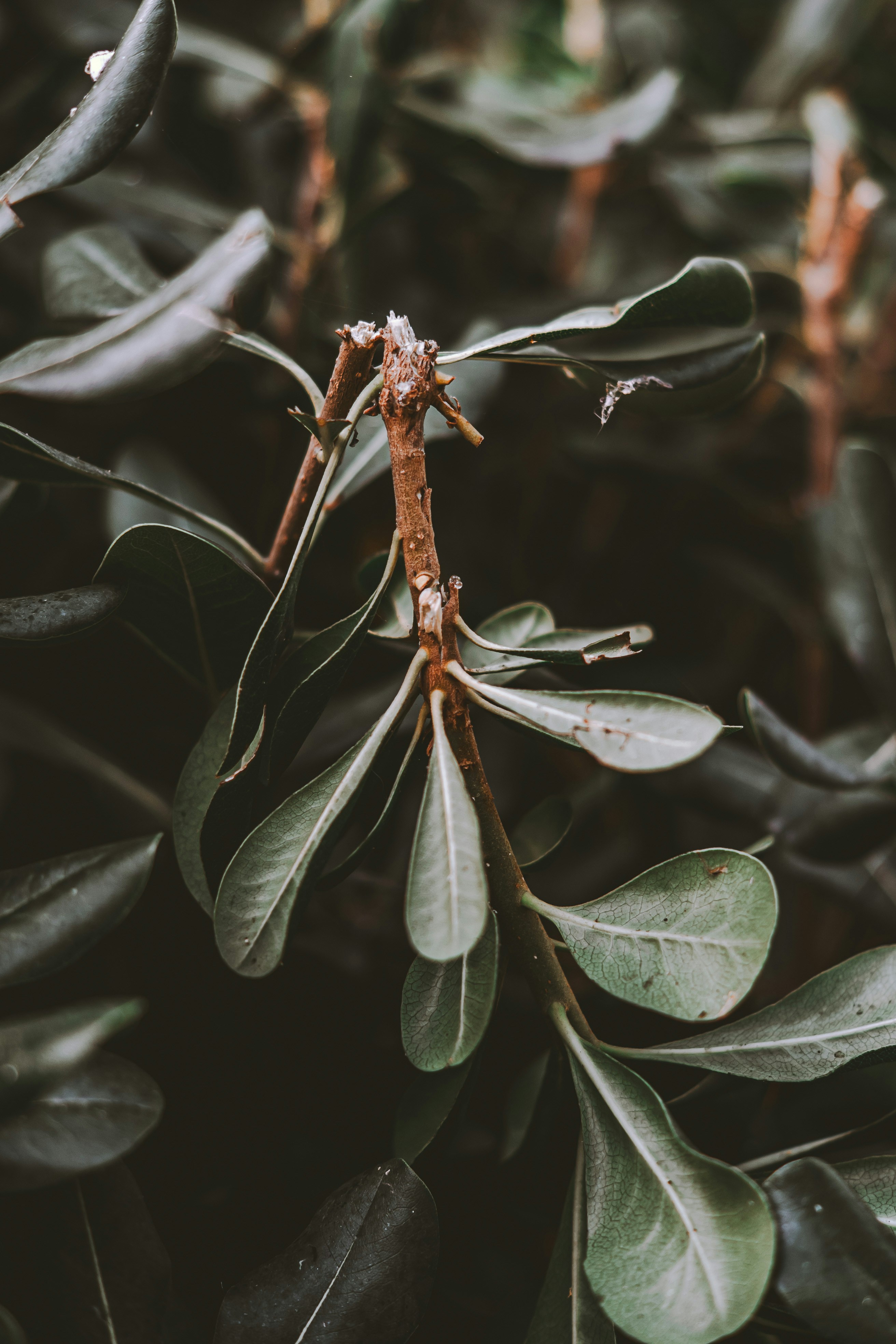 Photo by wojtekpaczes