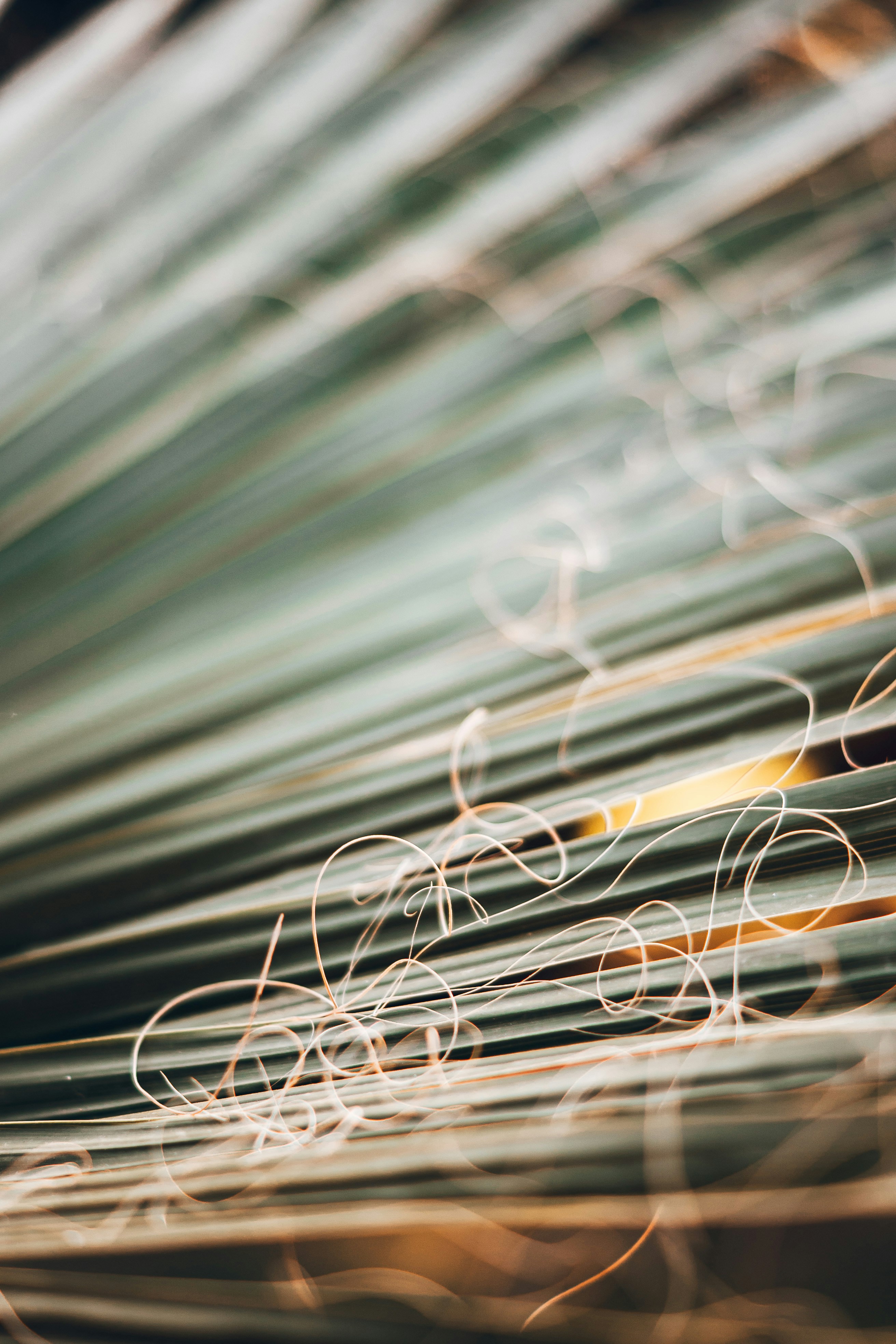 Photo by wojtekpaczes