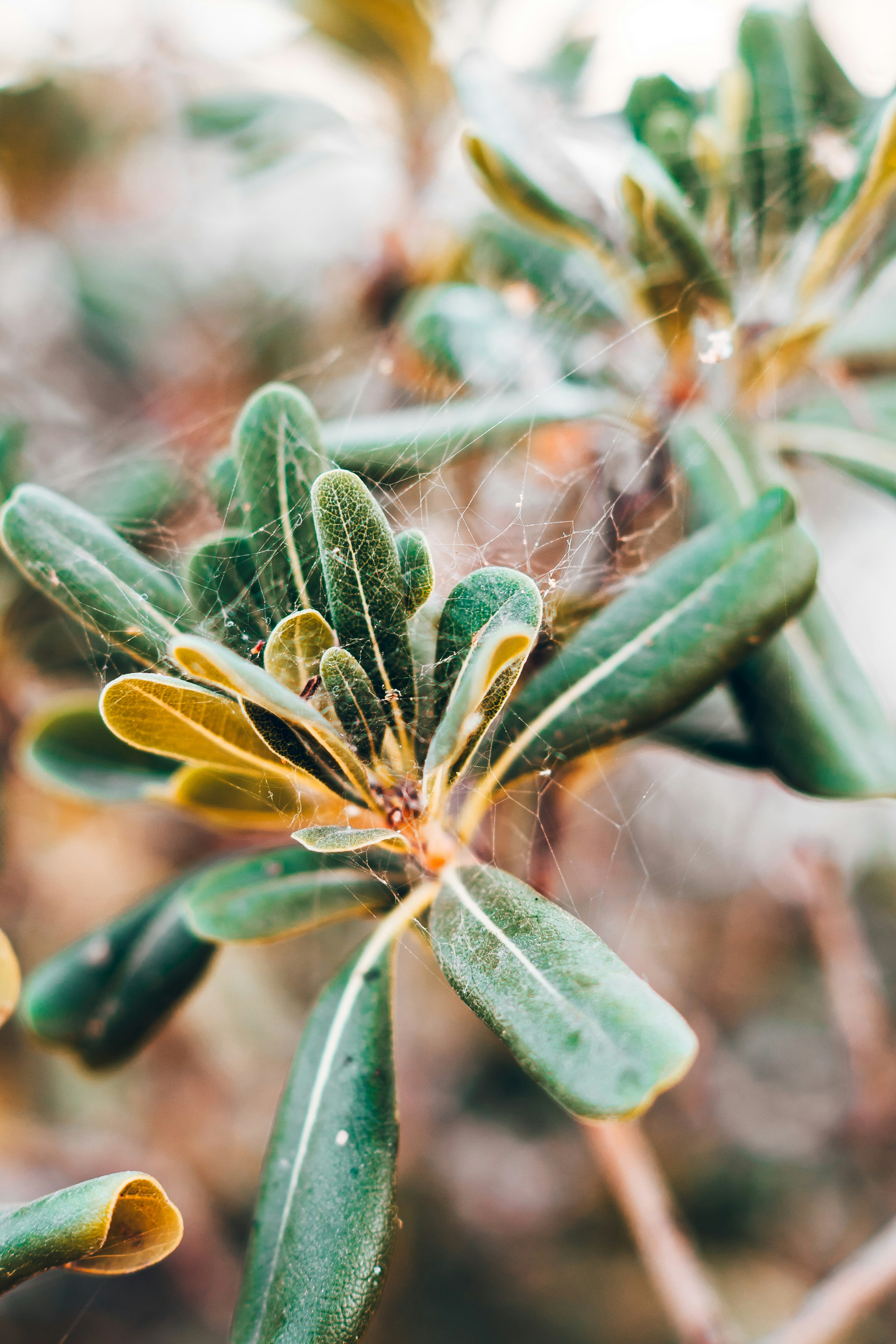 Photo by wojtekpaczes