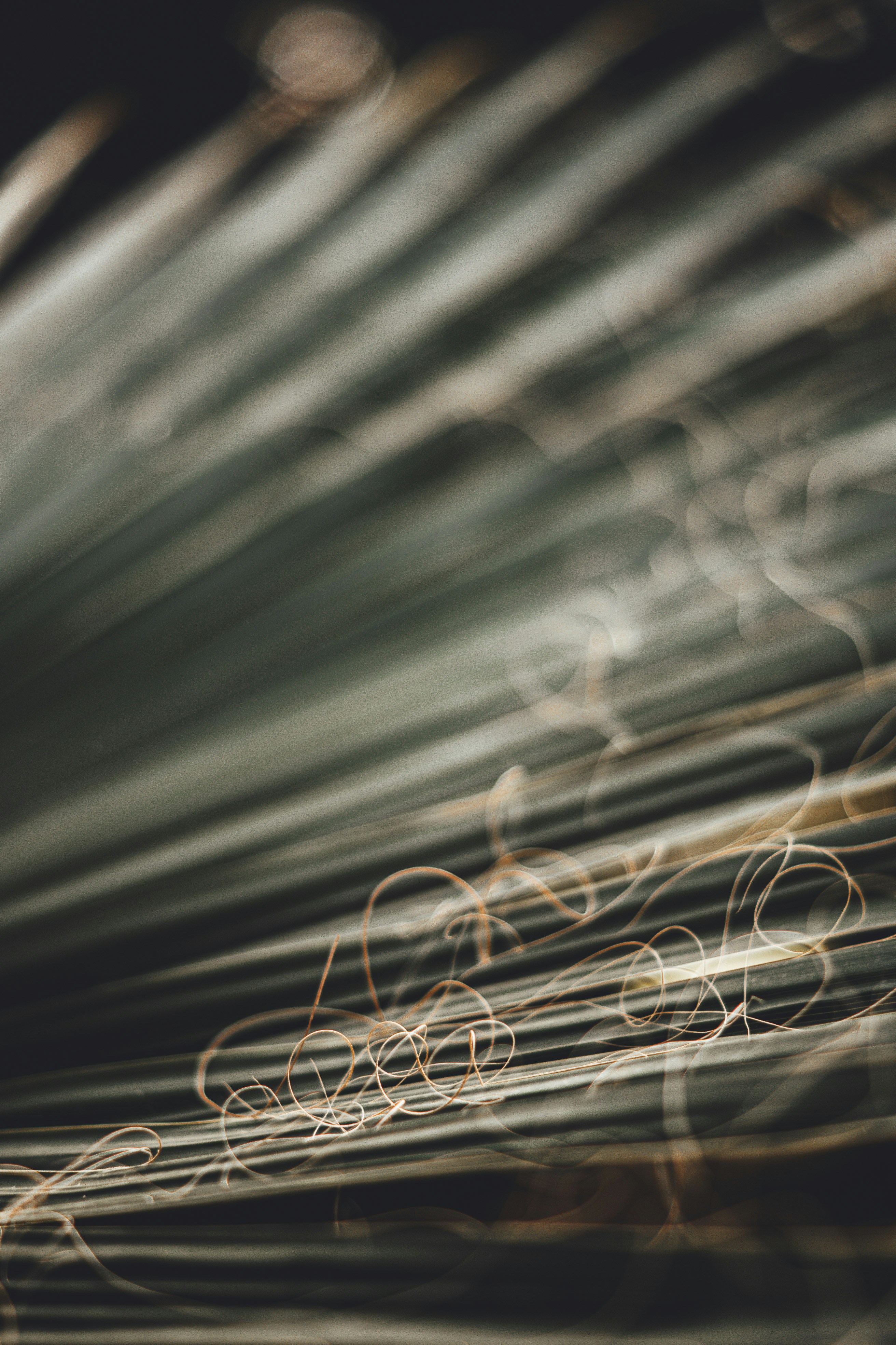 Photo by wojtekpaczes