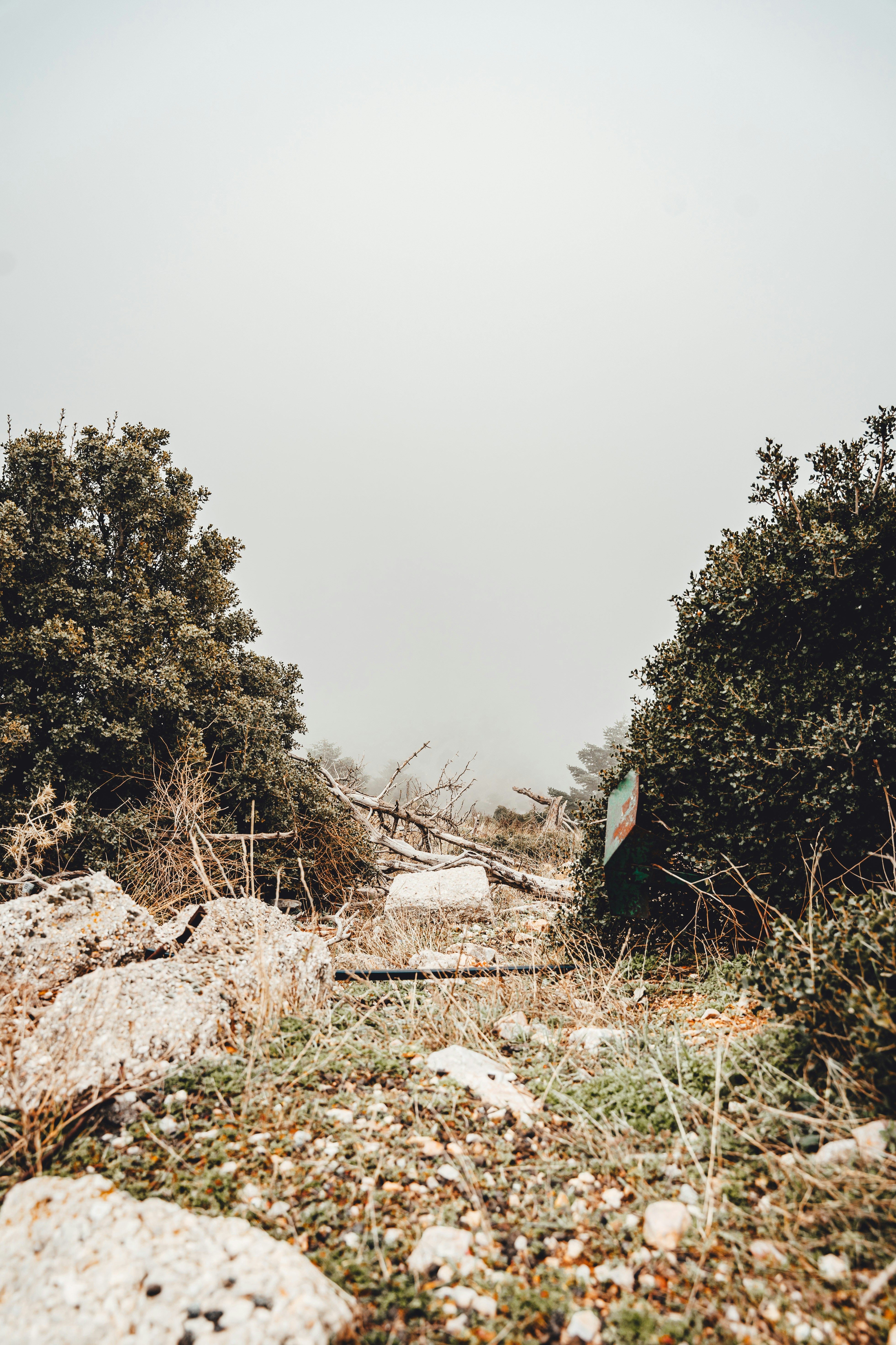 Photo by wojtekpaczes