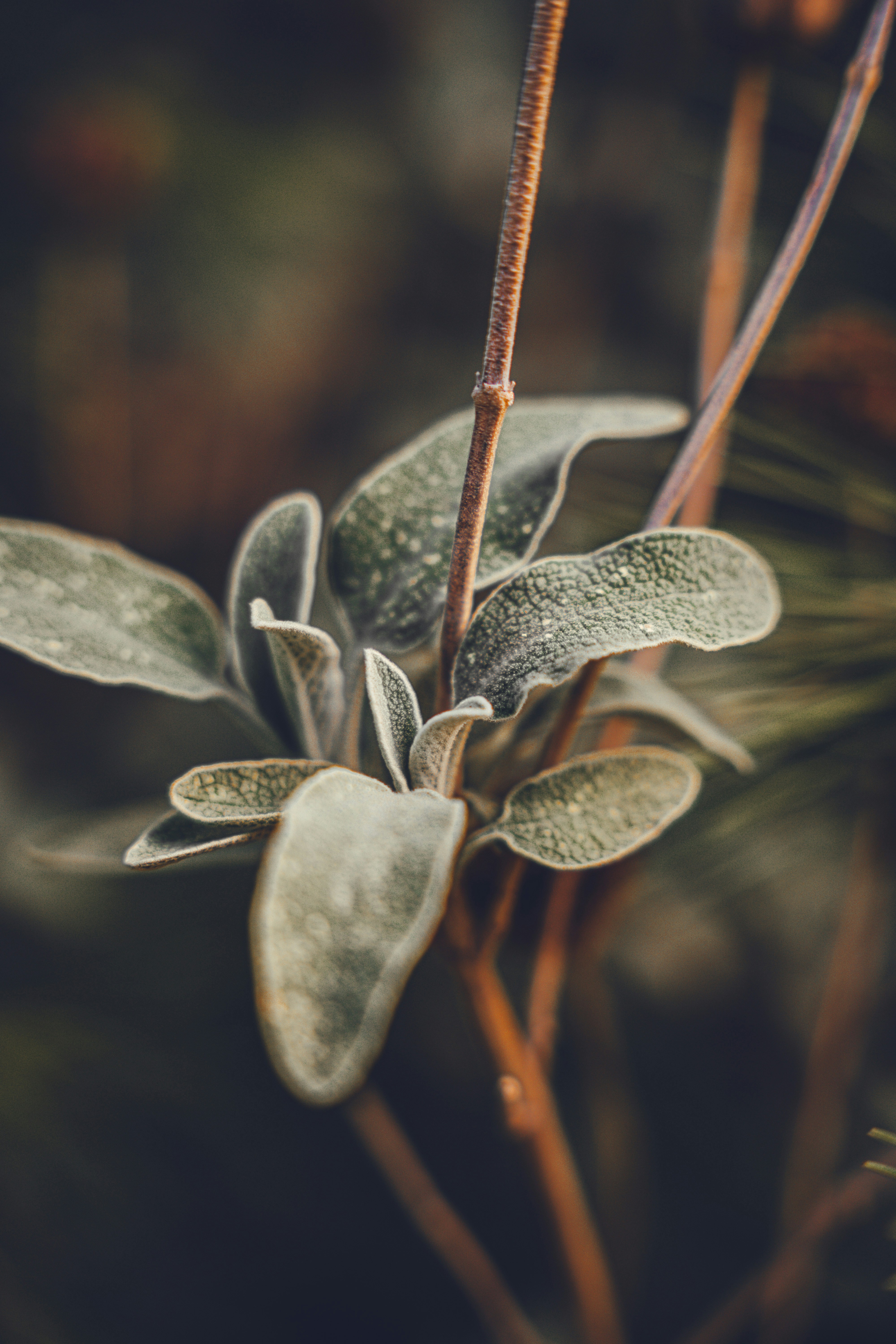 Photo by wojtekpaczes