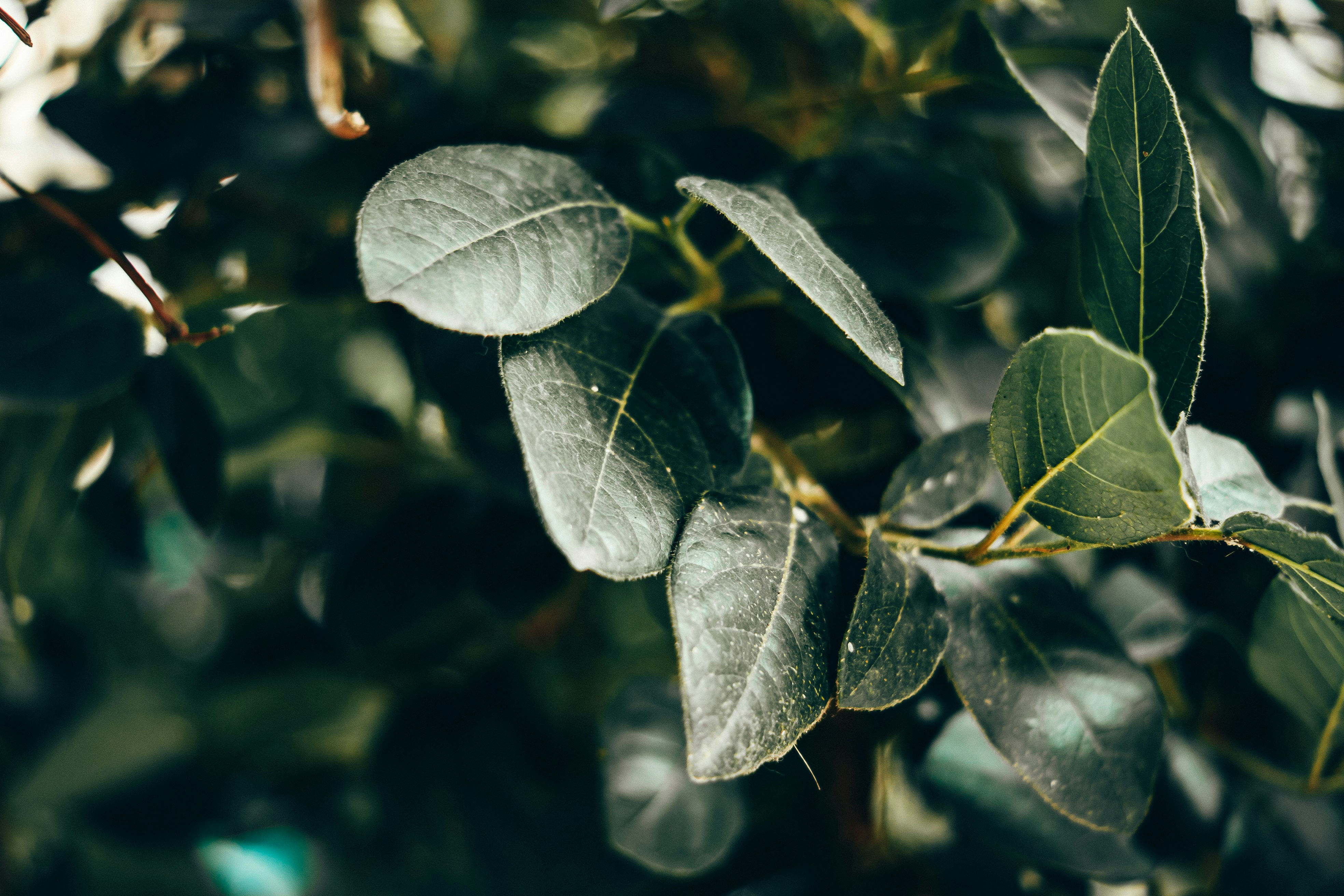 Photo by wojtekpaczes