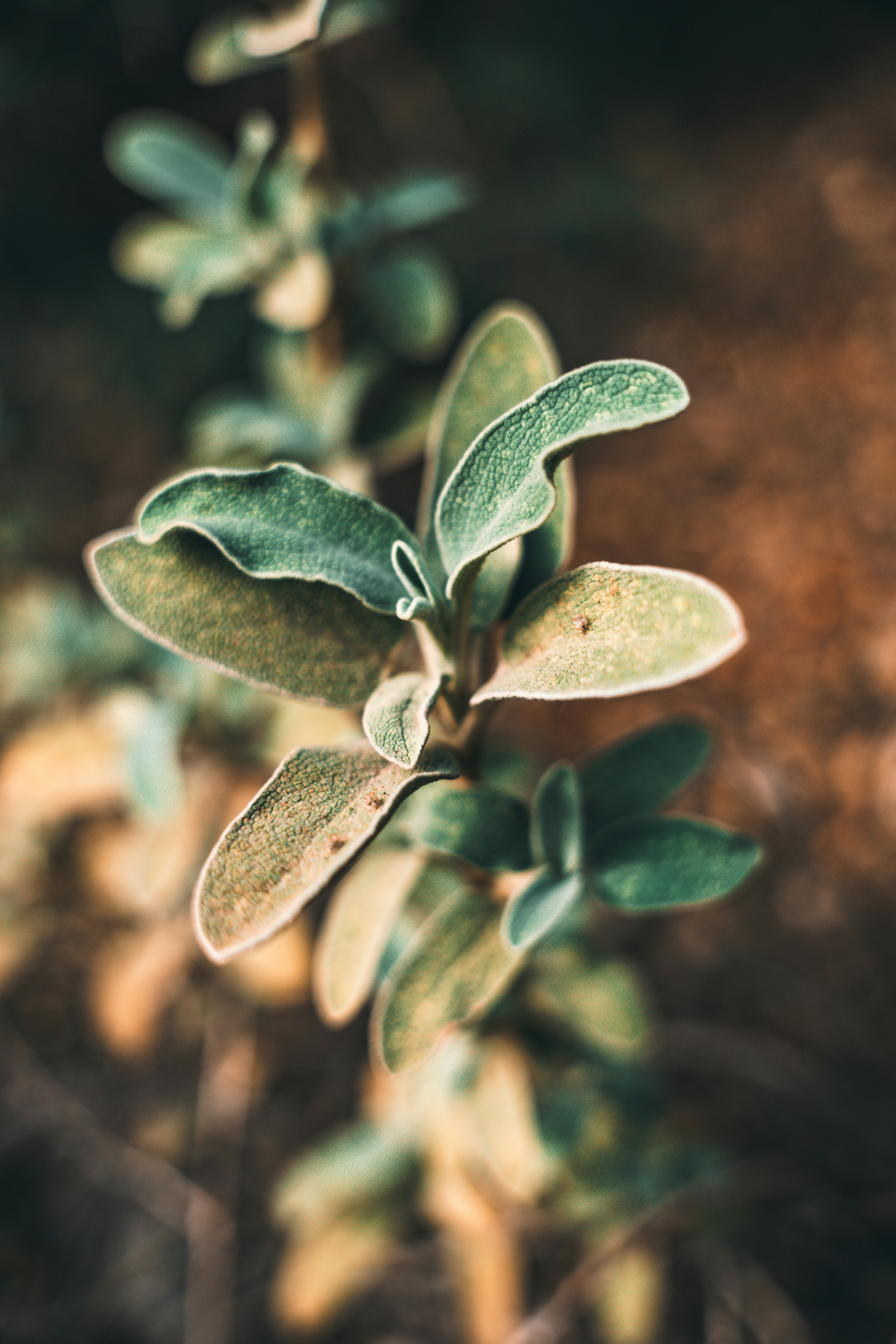 Photo by wojtekpaczes