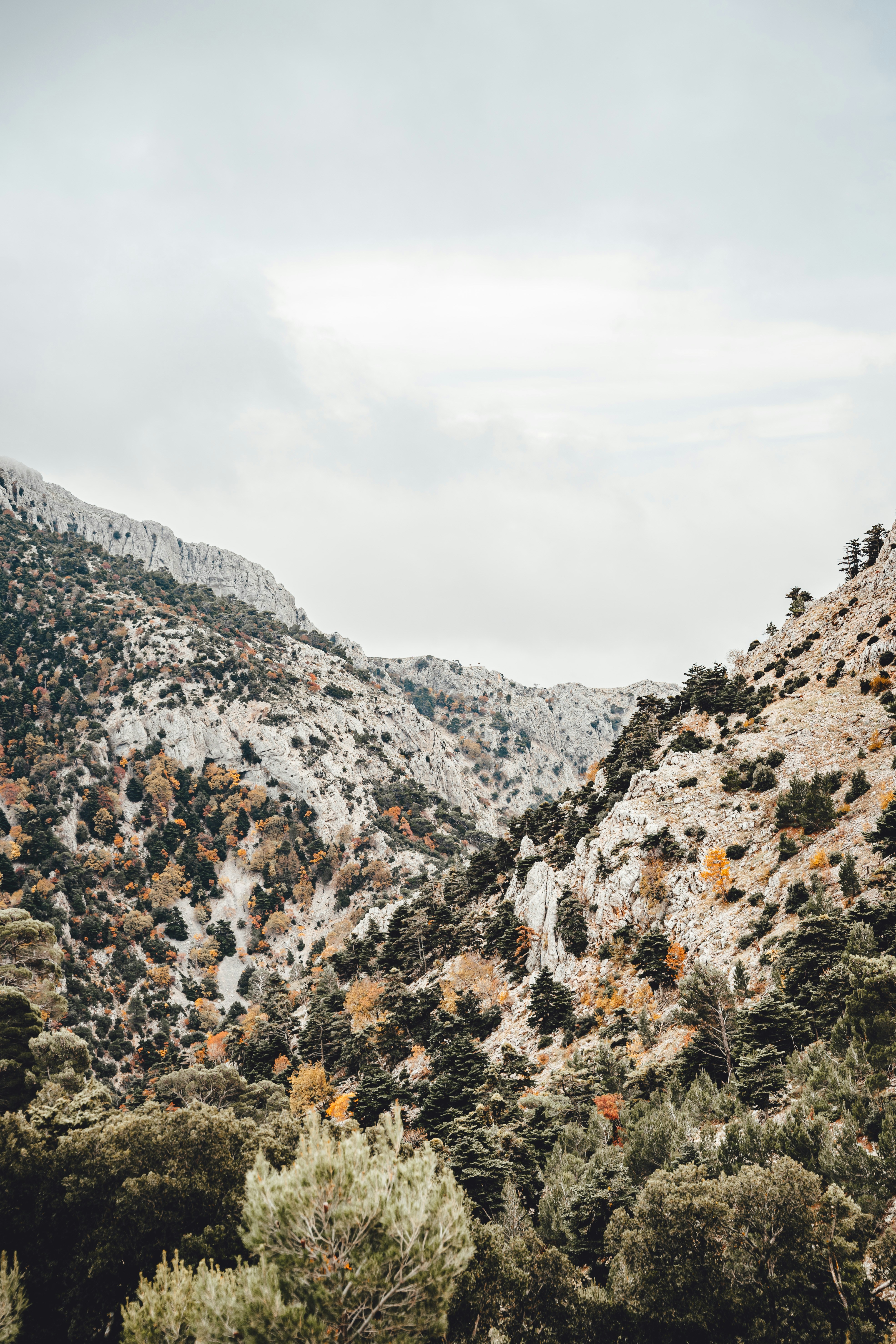 Photo by wojtekpaczes