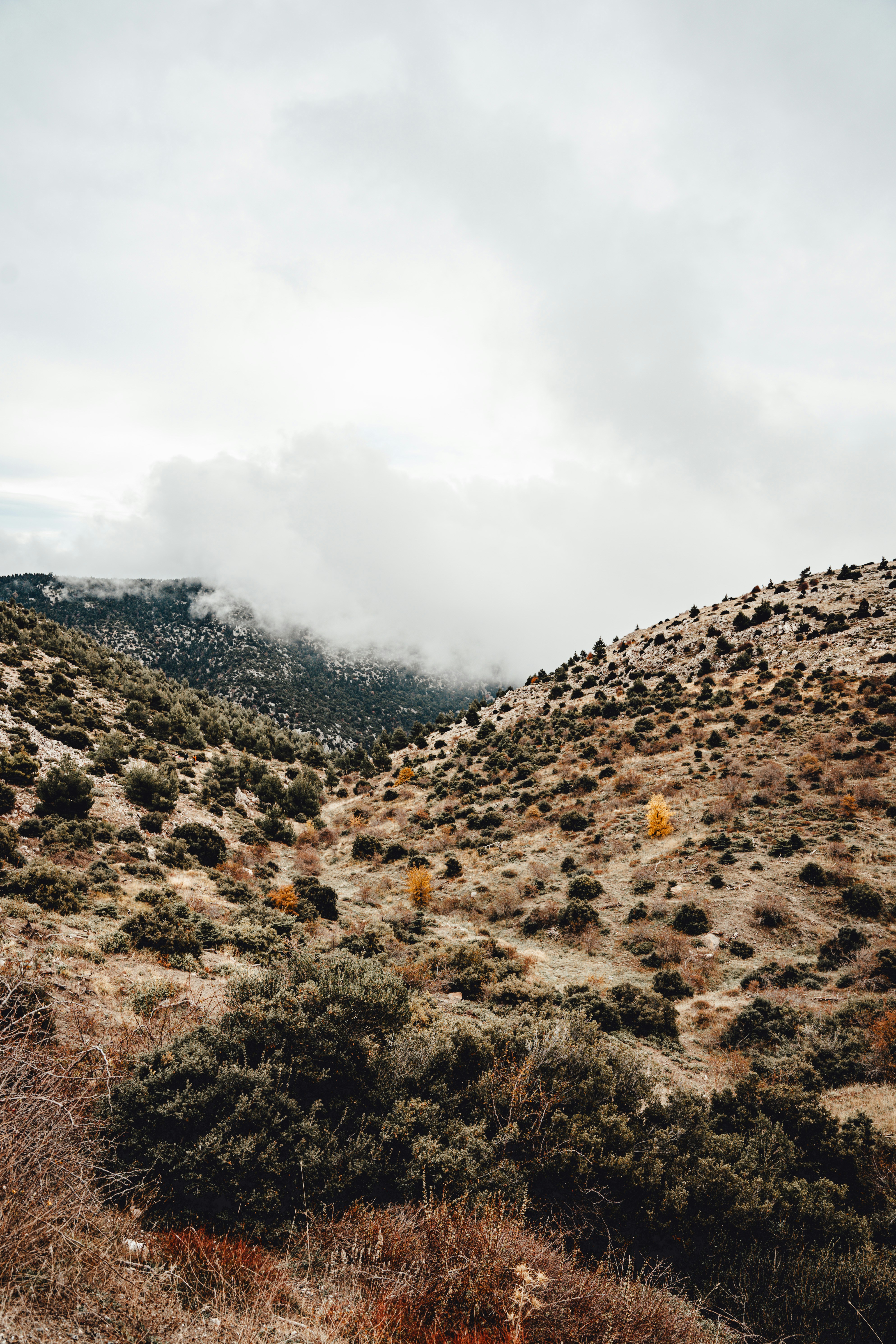 Photo by wojtekpaczes