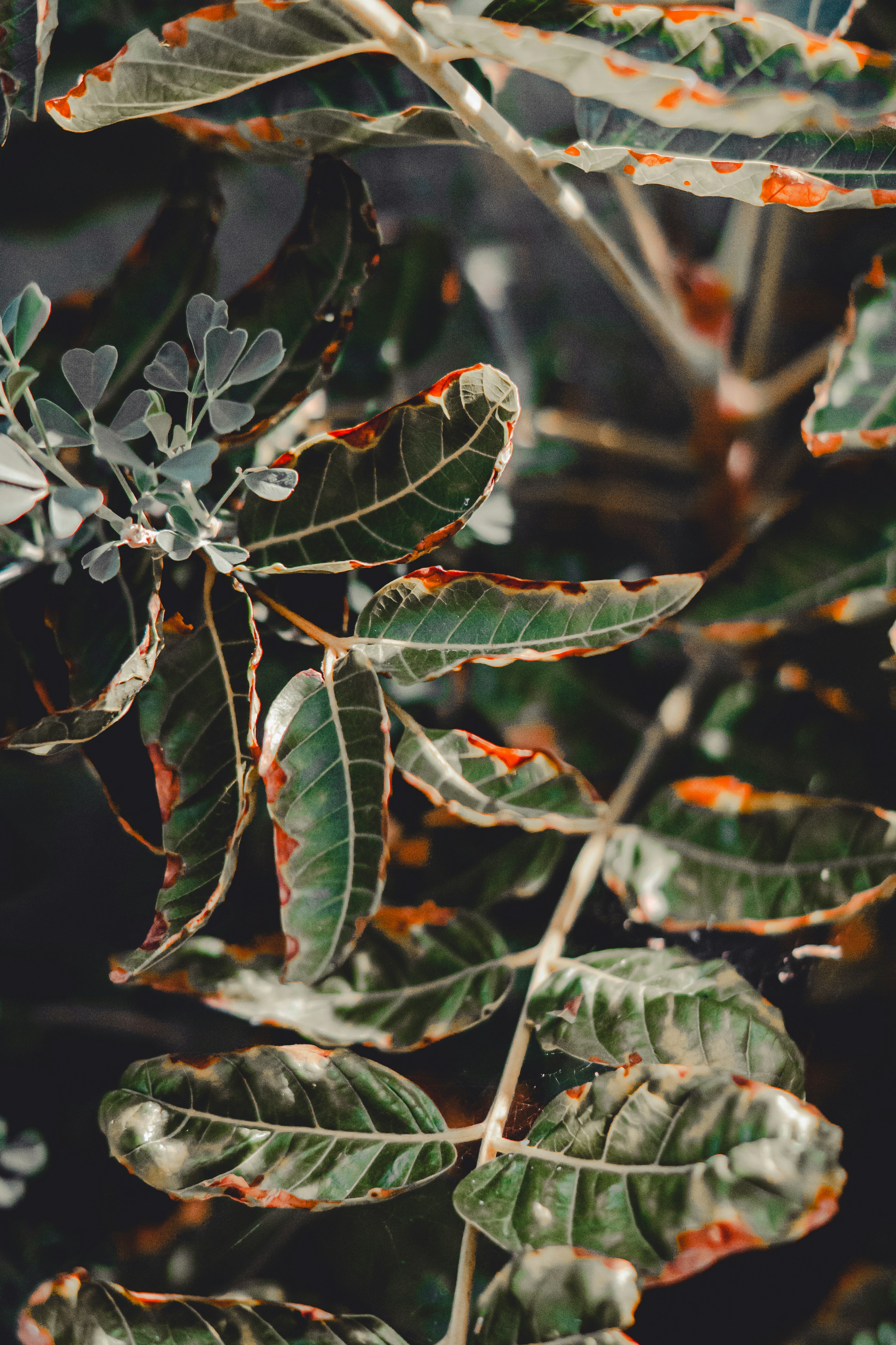 Photo by wojtekpaczes