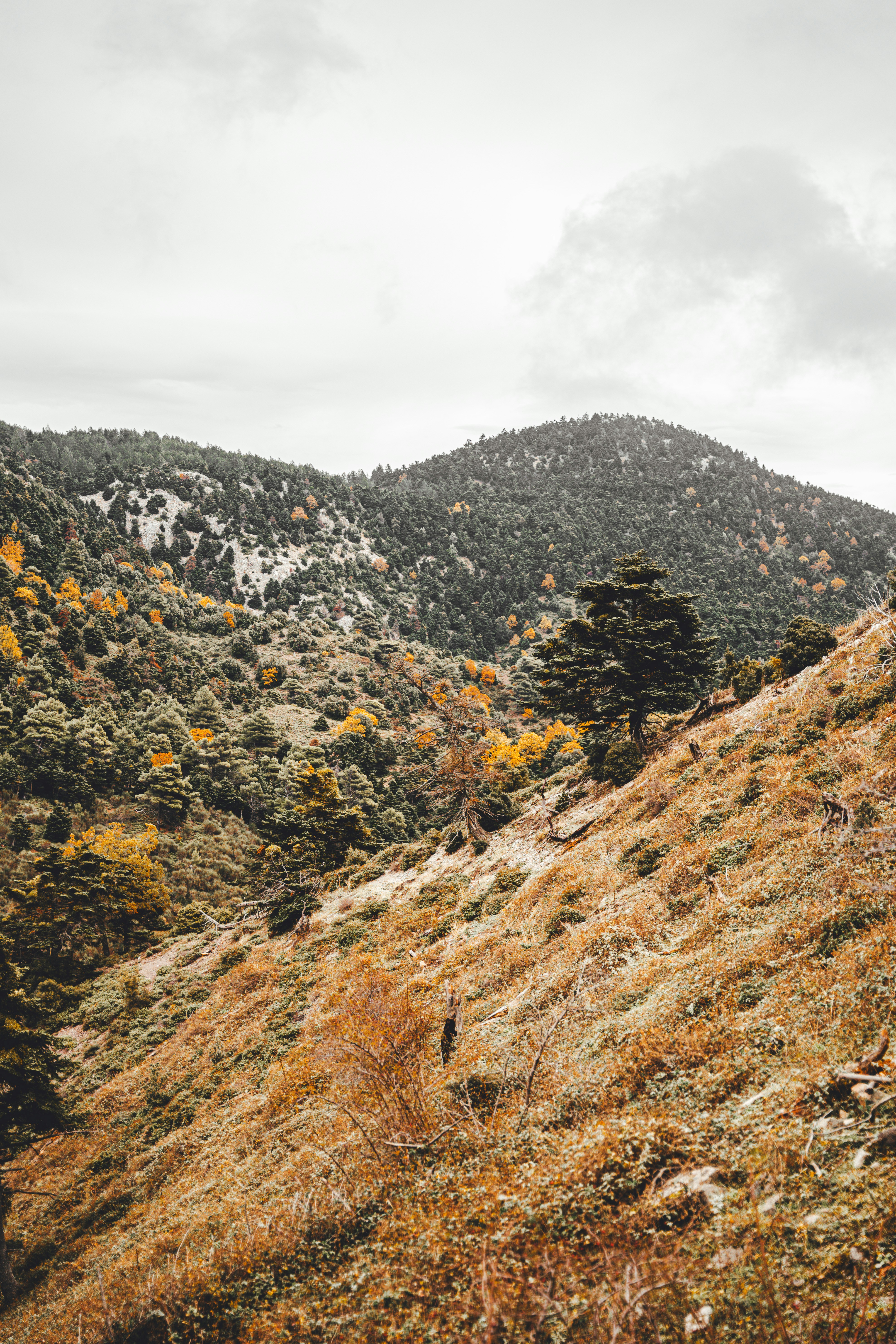 Photo by wojtekpaczes