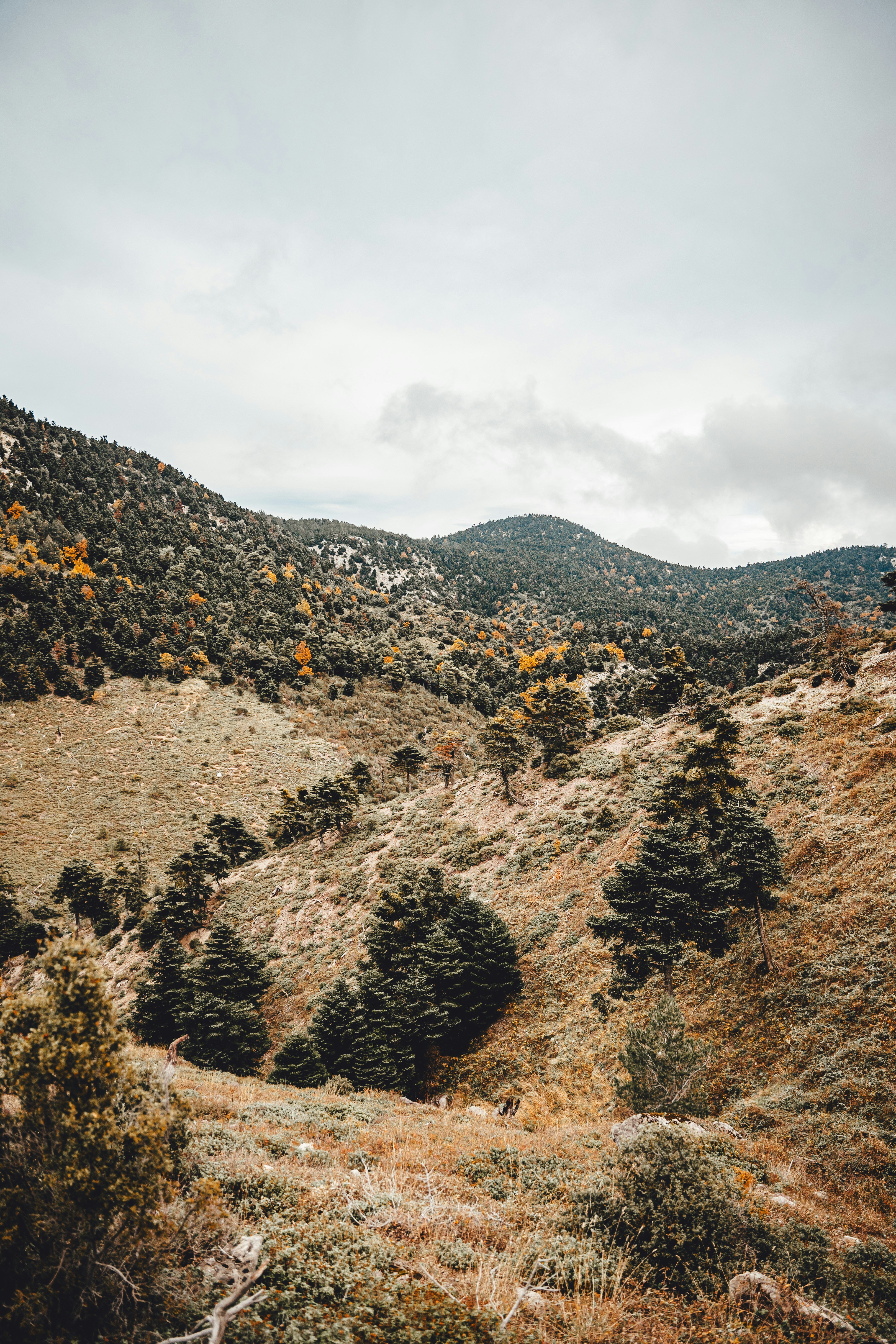 Photo by wojtekpaczes