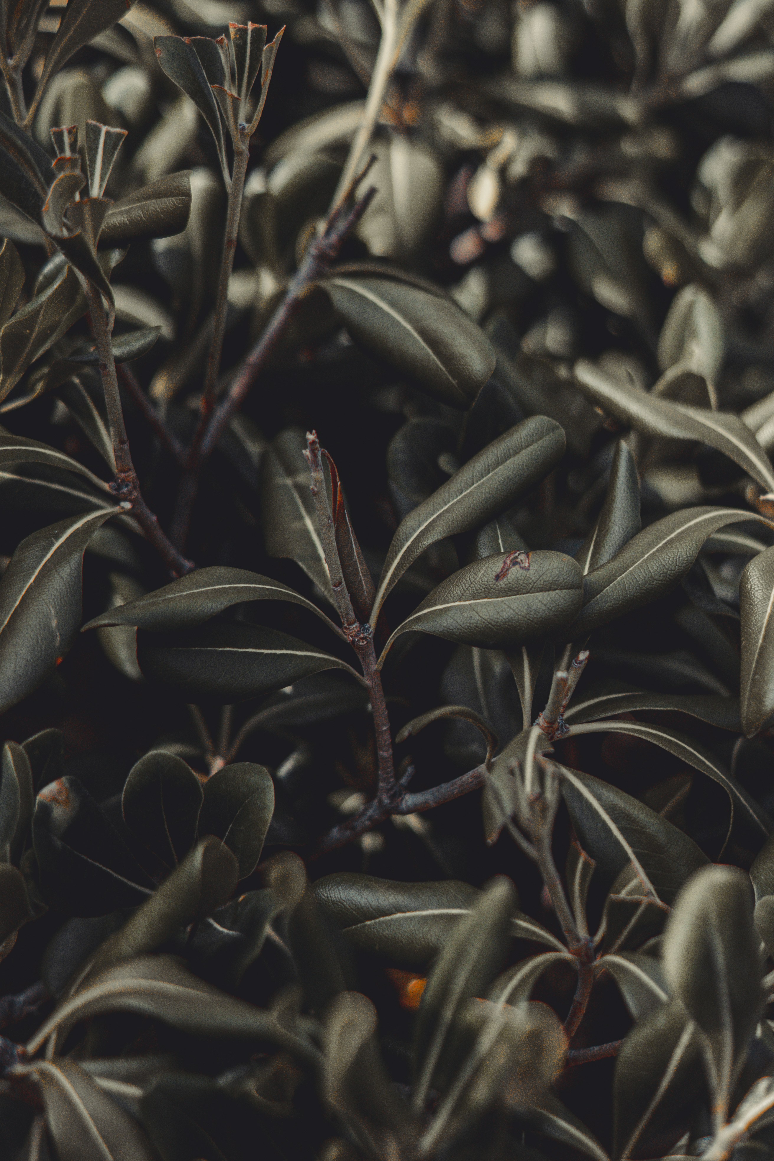 Photo by wojtekpaczes