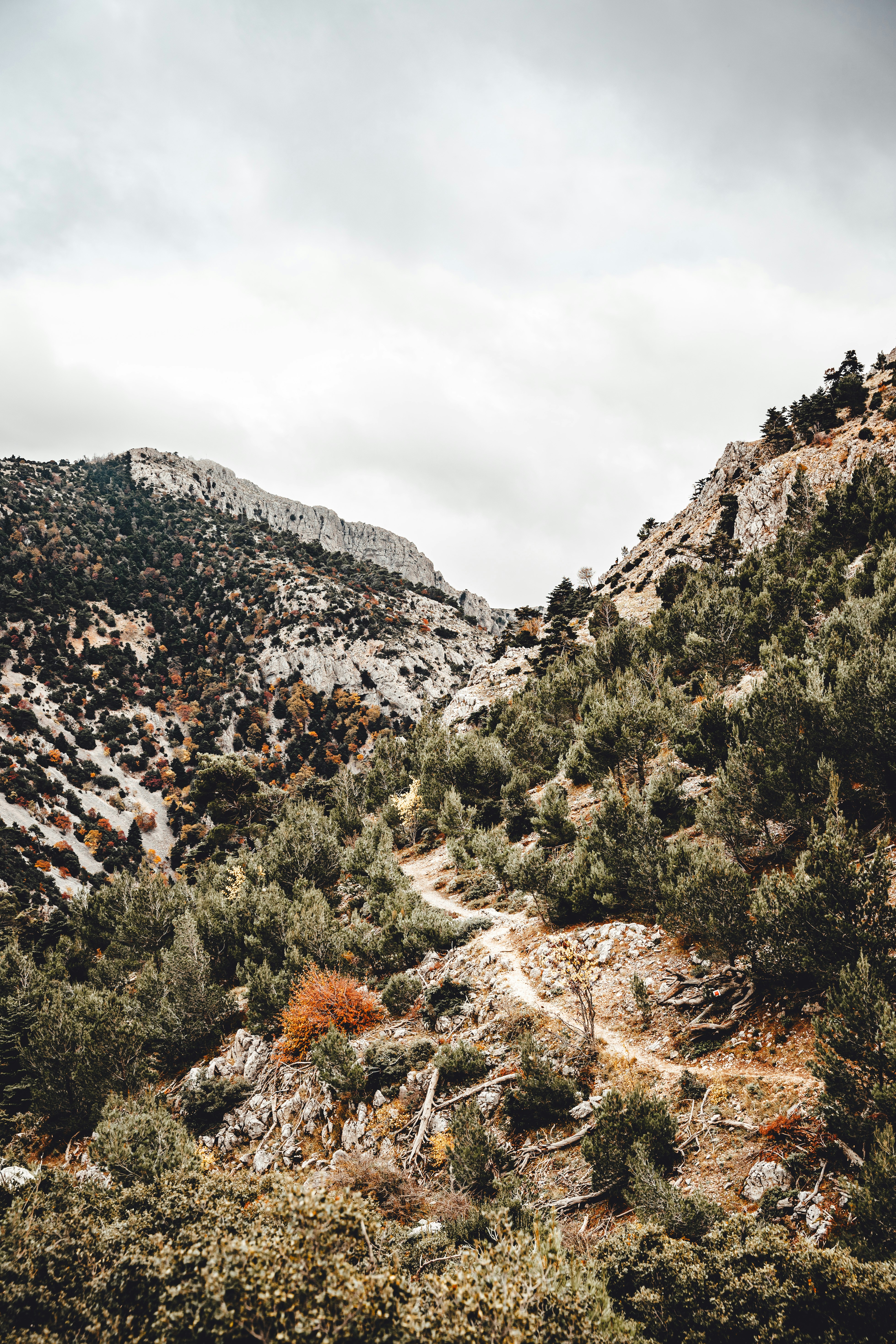 Photo by wojtekpaczes