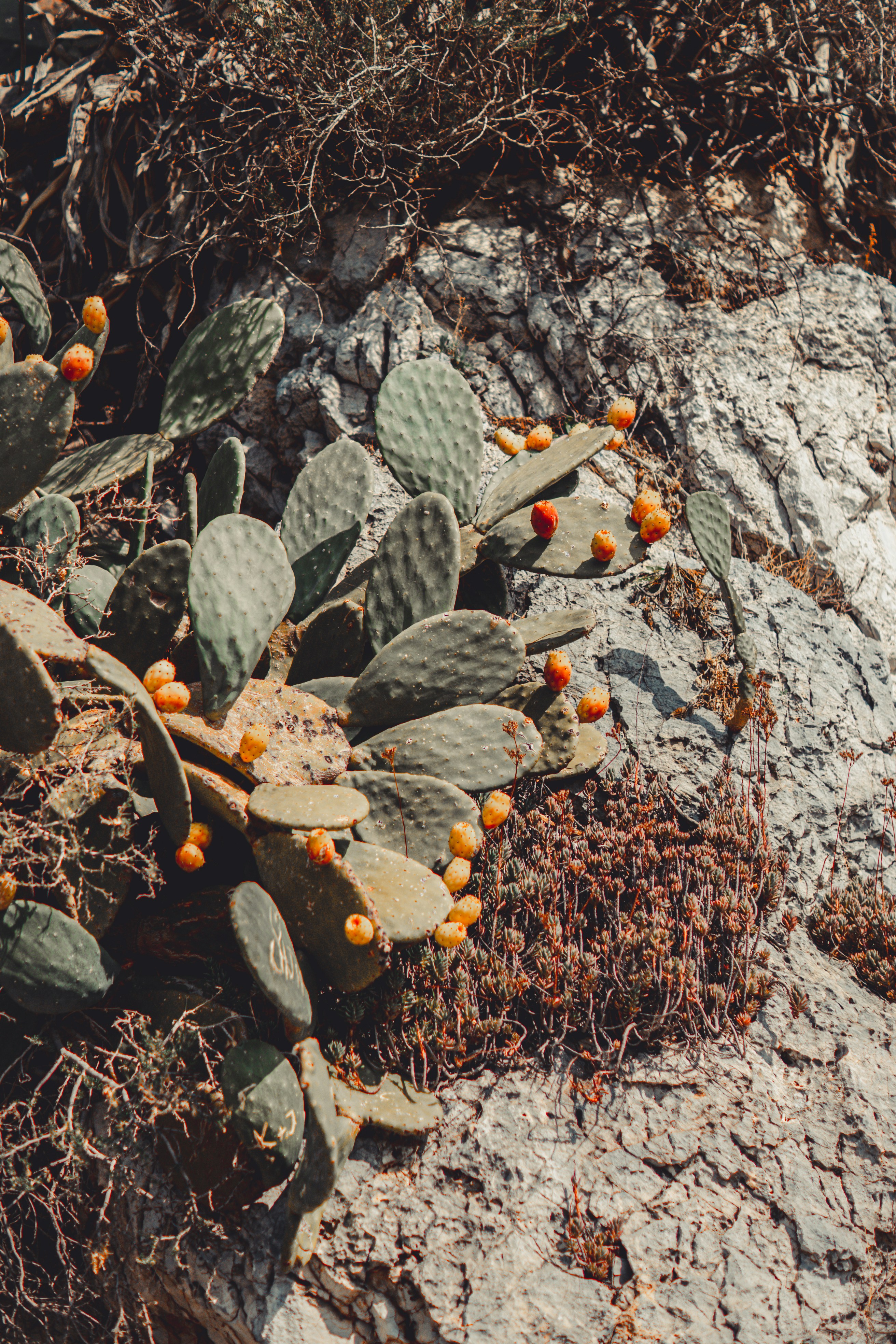 Photo by wojtekpaczes