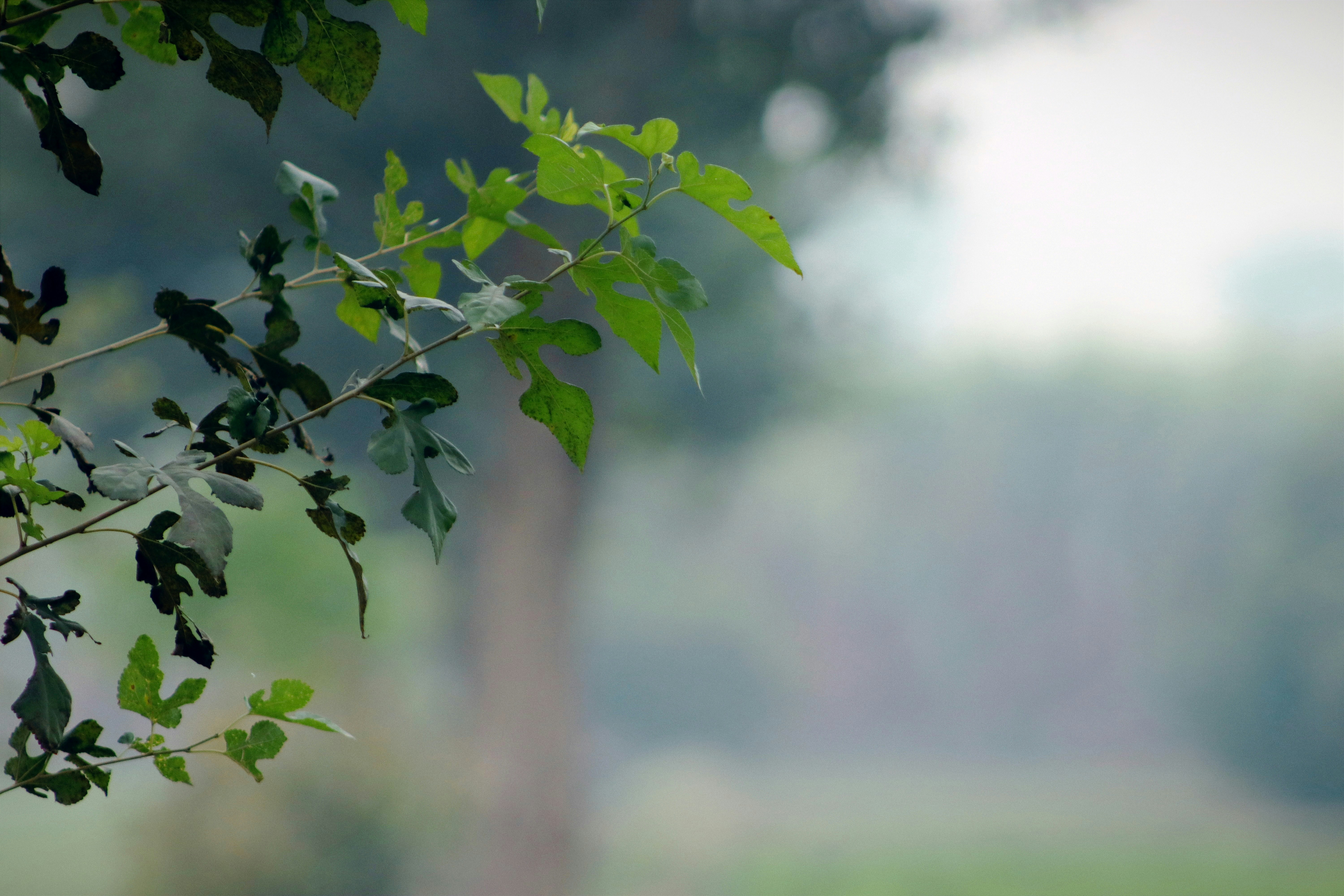 Photo by drphotographer152