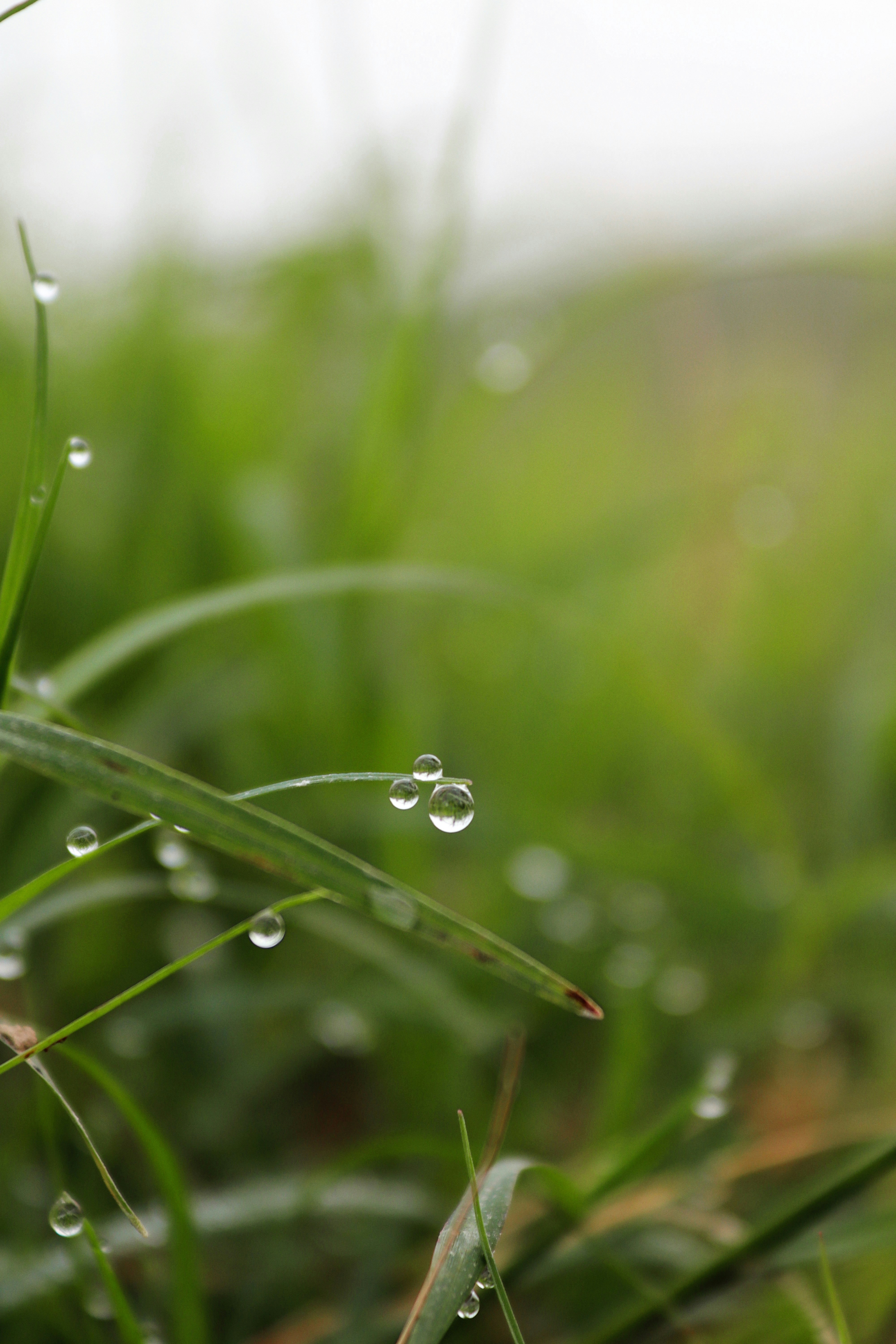 Photo by drphotographer152