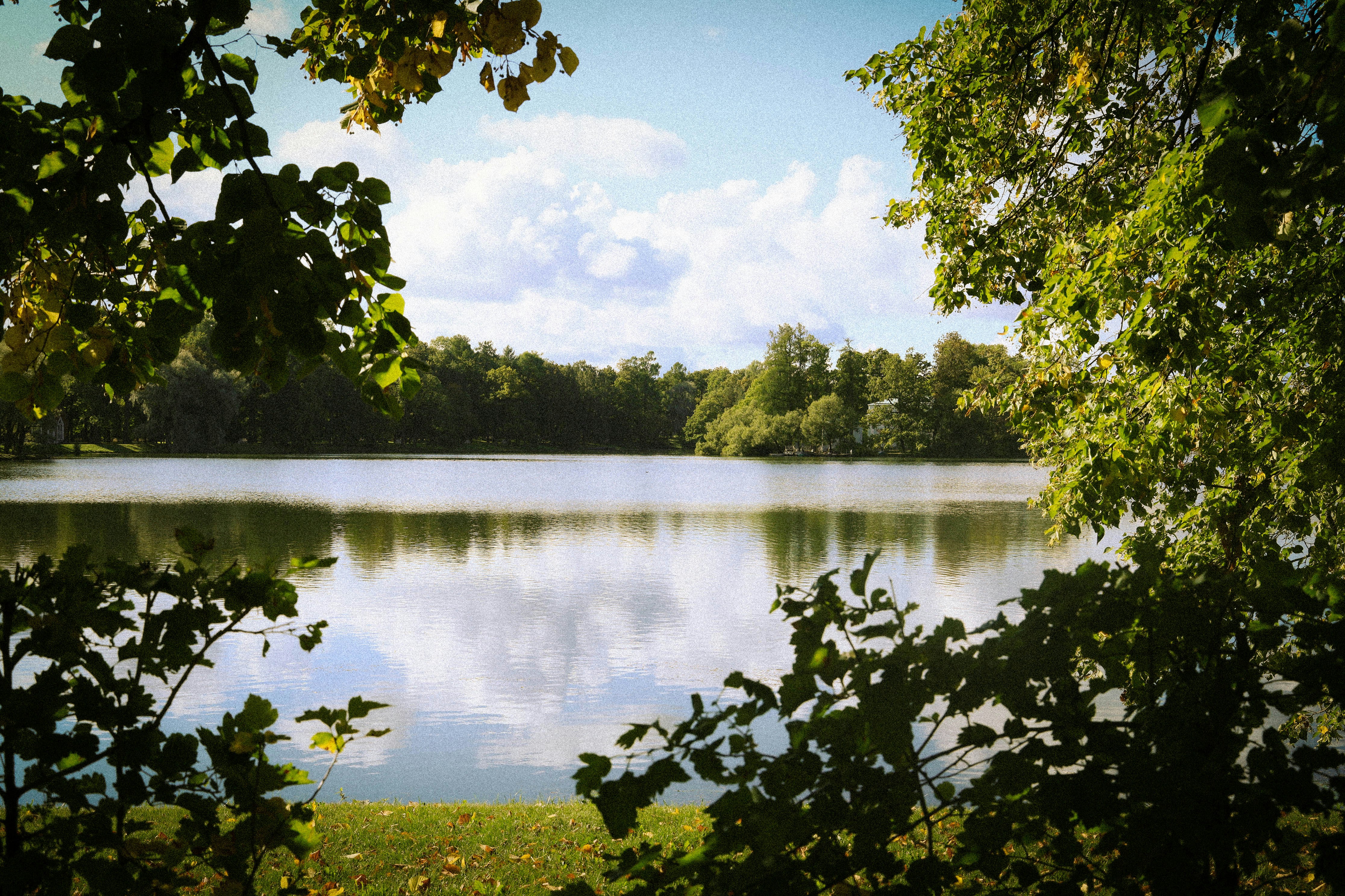 Photo by maitranquynh04