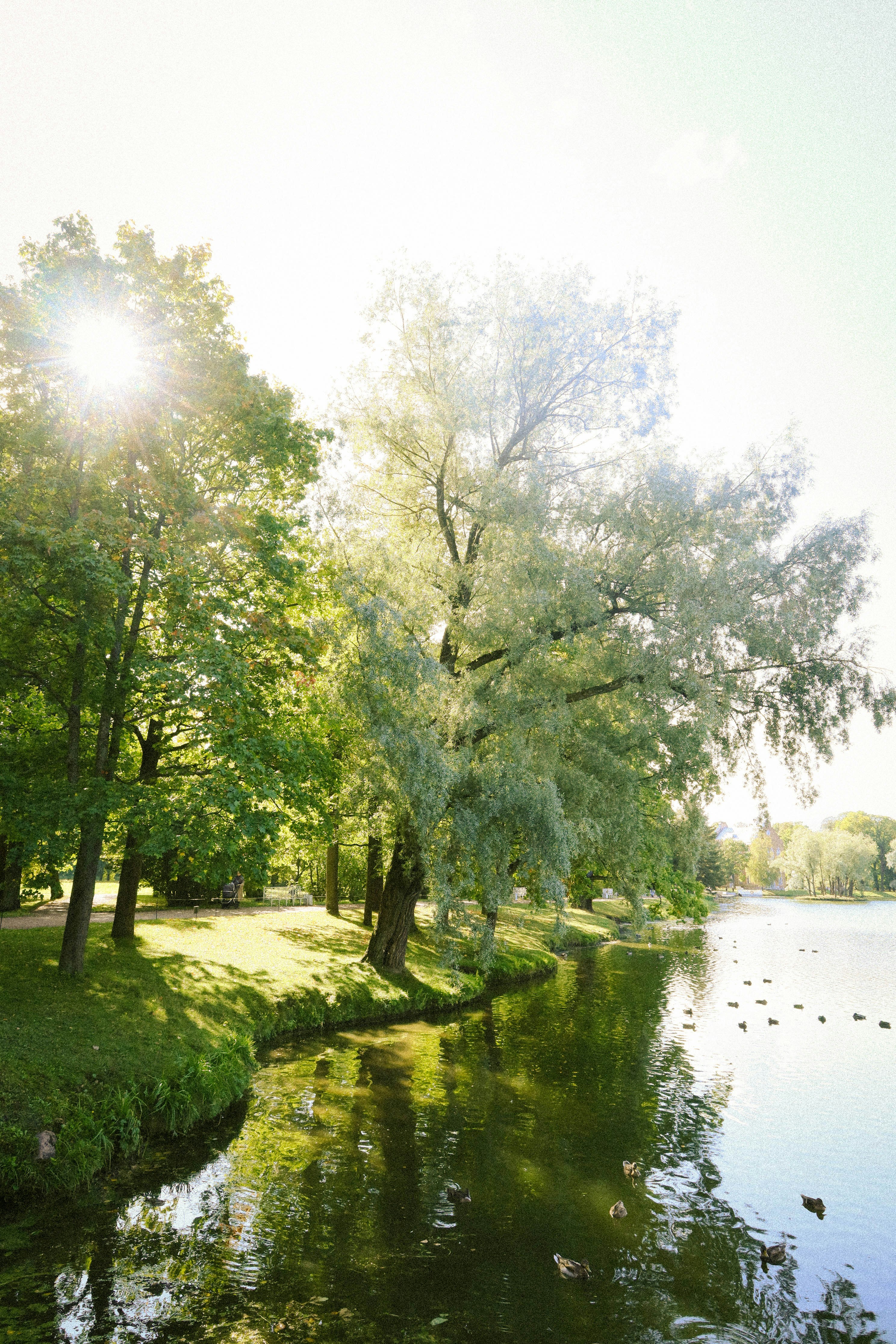 Photo by maitranquynh04