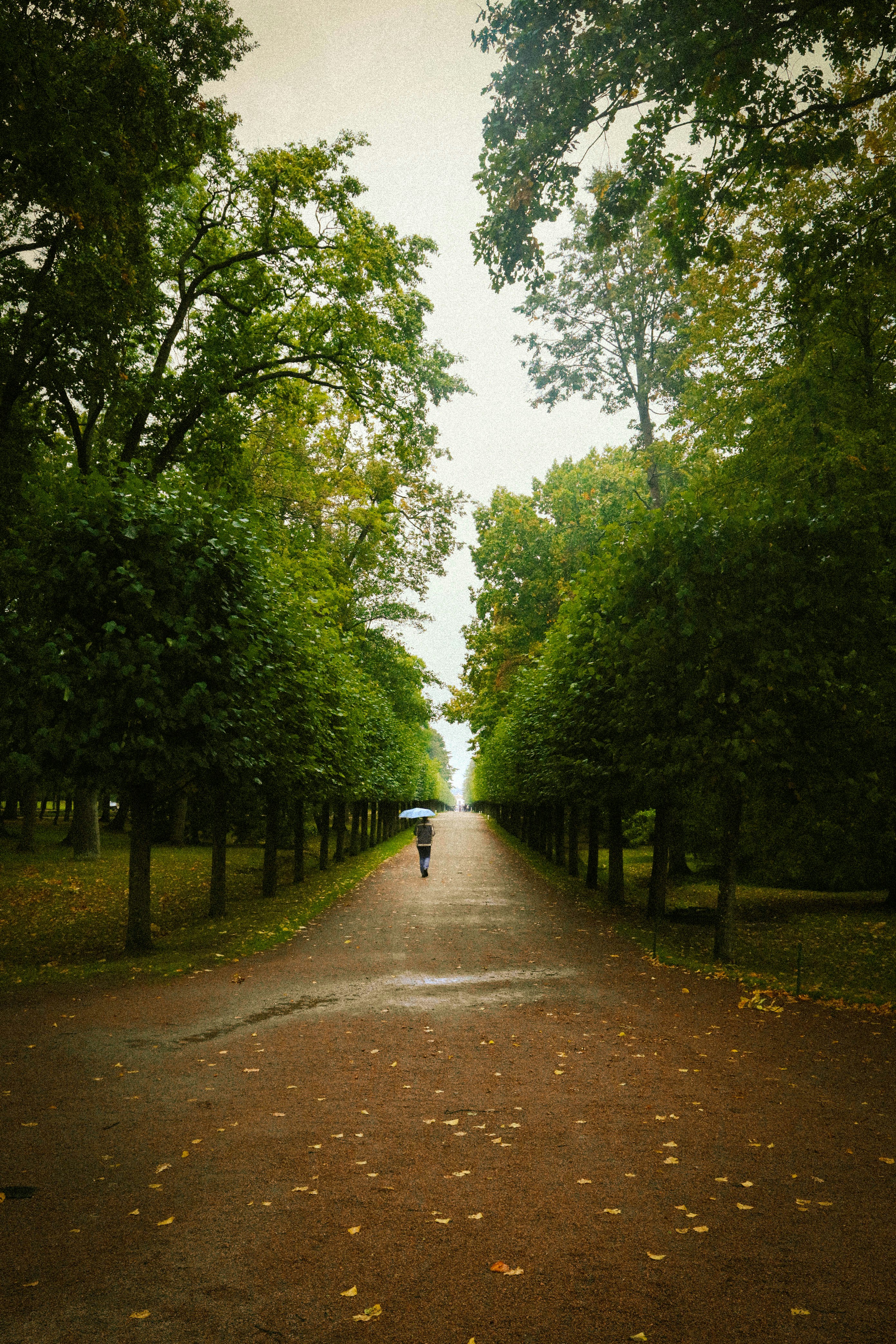 Photo by maitranquynh04