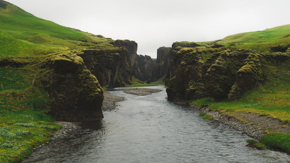 a river running through a lush green valley