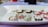 A collection of gold wire rings displayed on a white rectangular dish. Some rings feature colorful beads, including pastel pink, green, and black, with designs appearing delicate and ornamental.