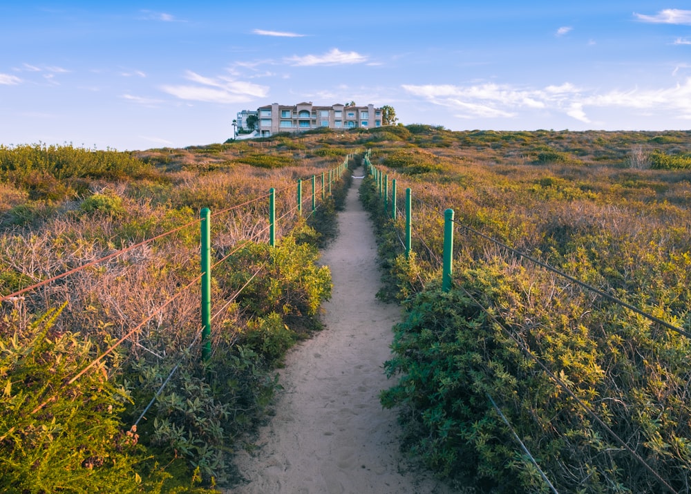 a house on top of a hill surrounded by bushes