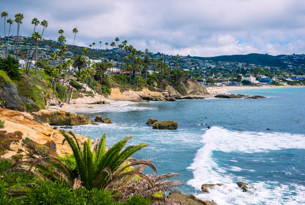 a view of a beach with palm trees and a city in the background