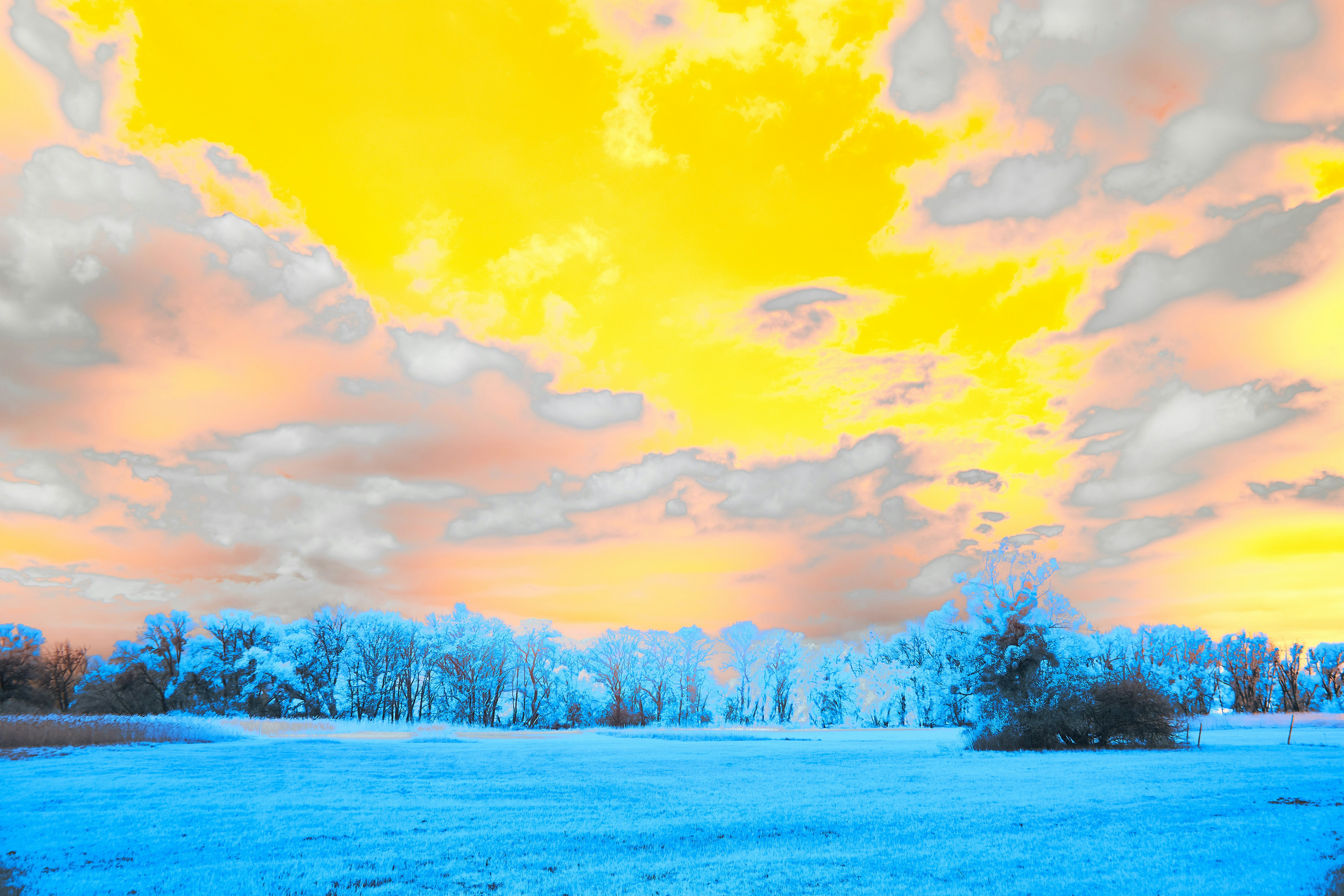 Photo by wolfgang_hasselmann