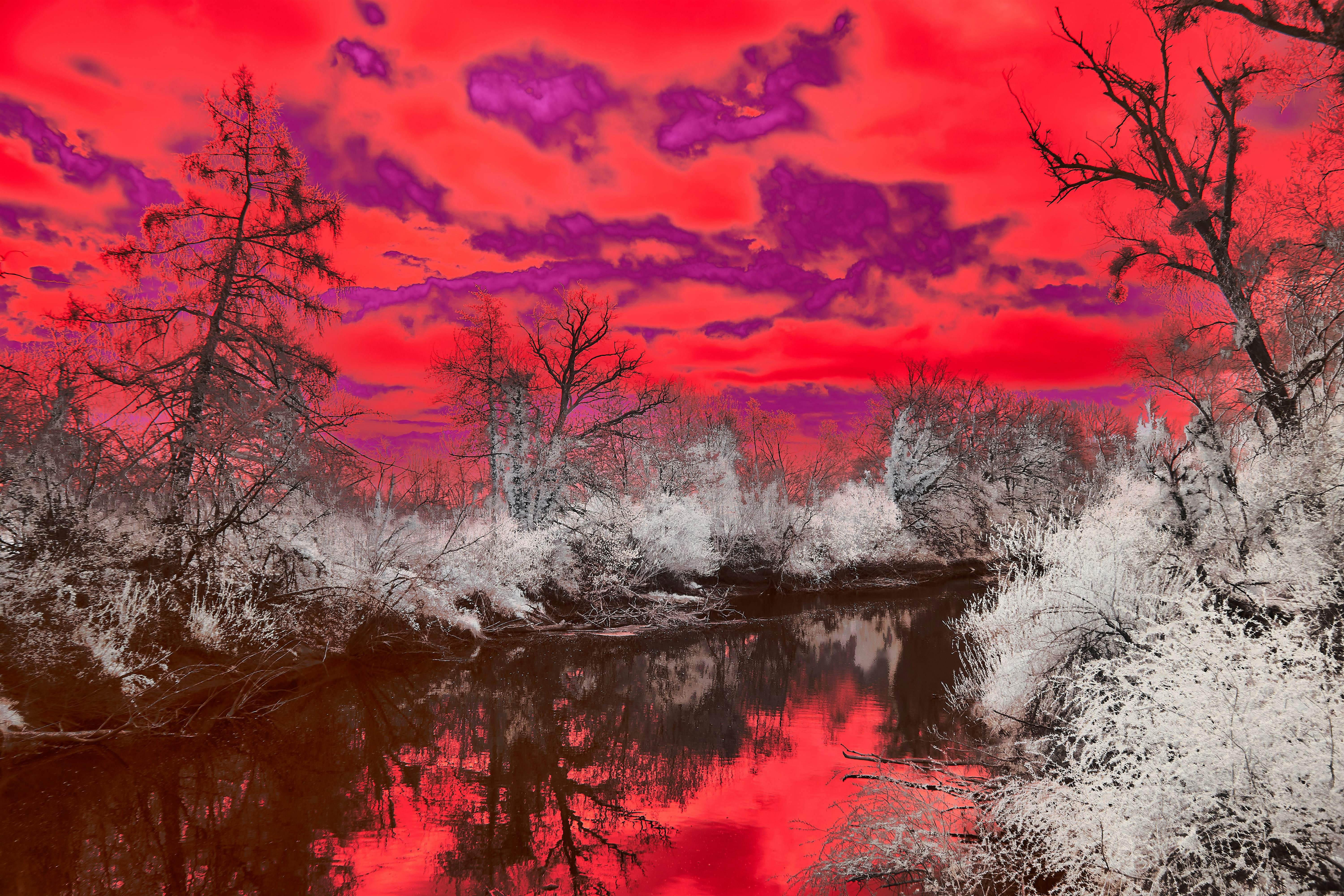 Photo by wolfgang_hasselmann