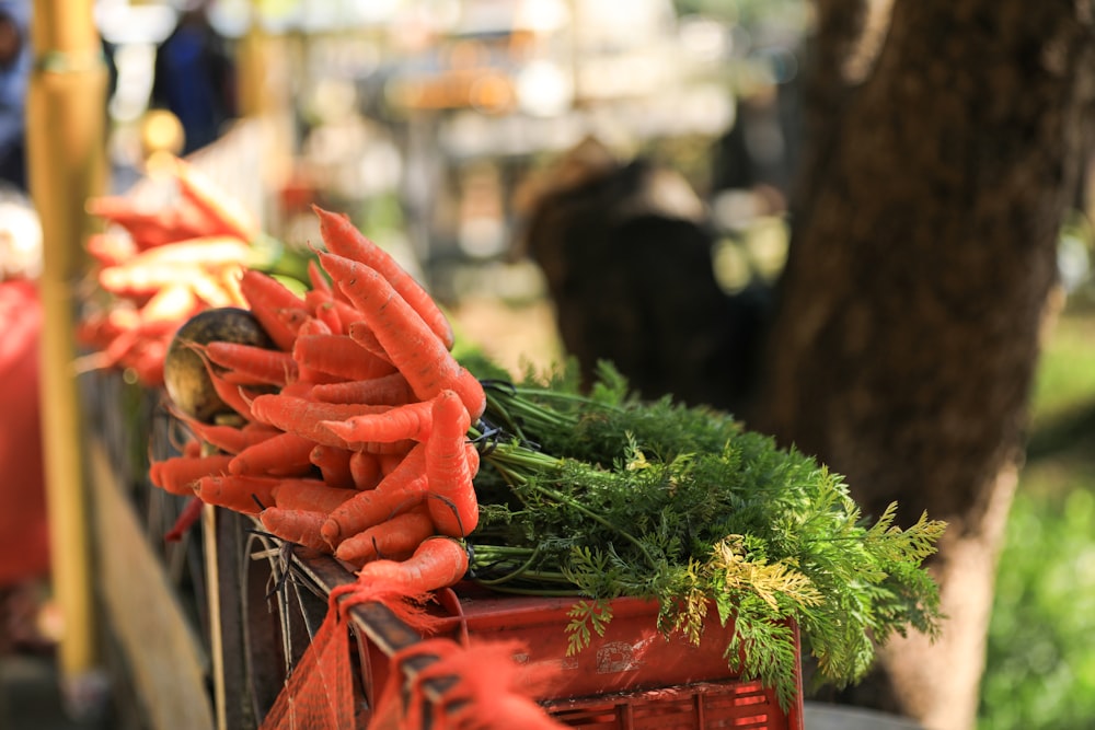 a bunch of carrots that are on a cart