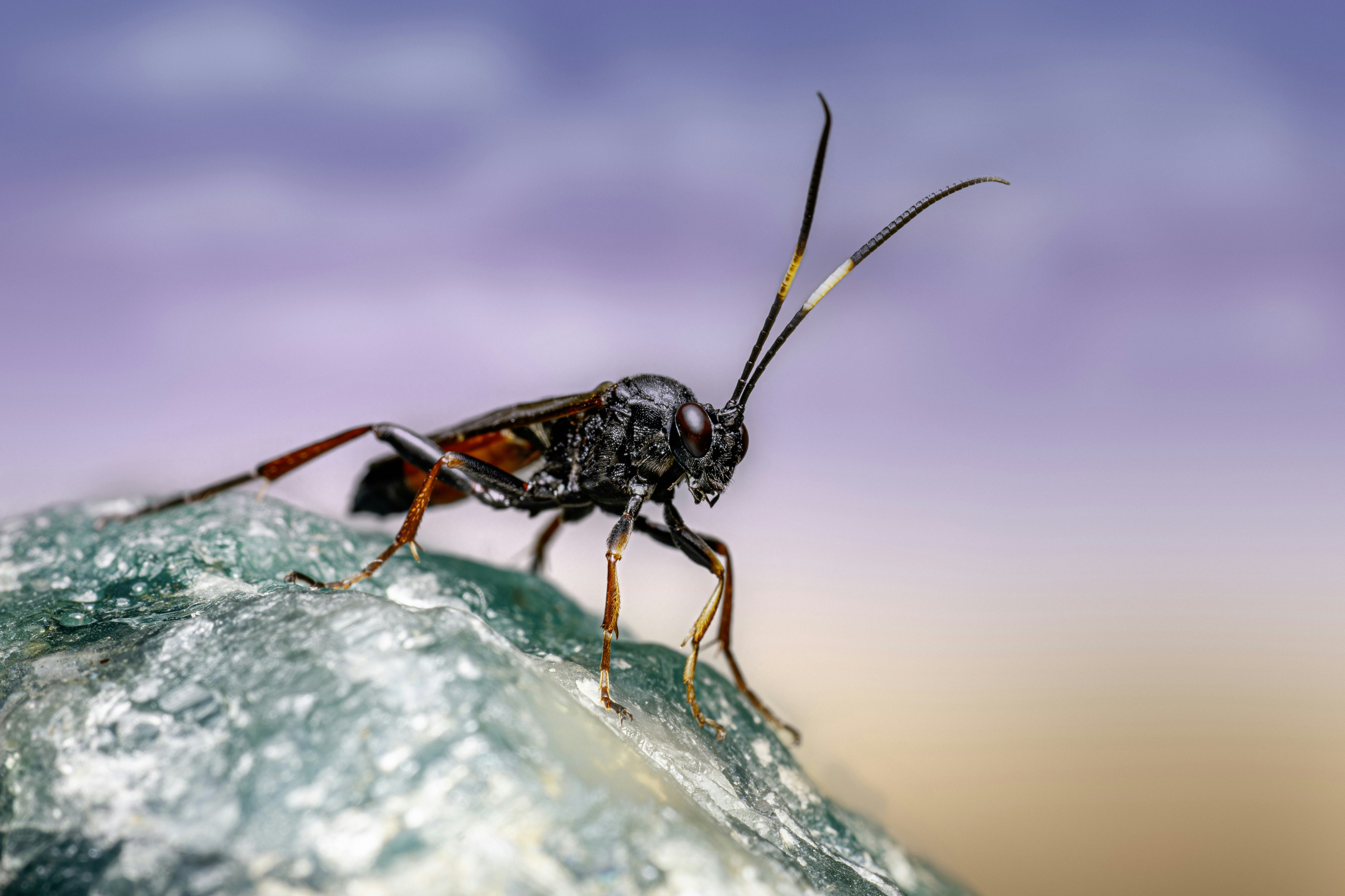 Photo by erik_karits